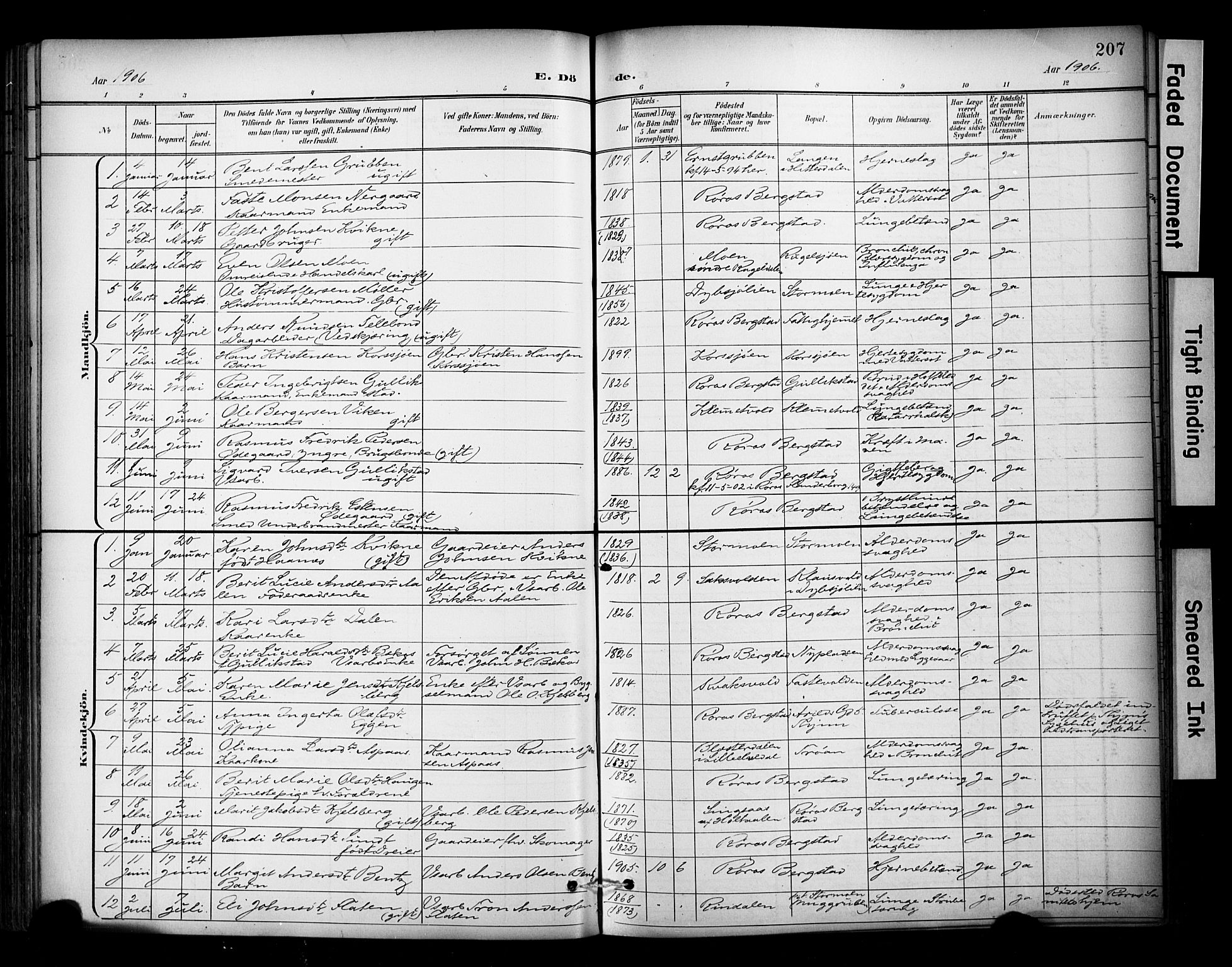 Ministerialprotokoller, klokkerbøker og fødselsregistre - Sør-Trøndelag, SAT/A-1456/681/L0936: Parish register (official) no. 681A14, 1899-1908, p. 207