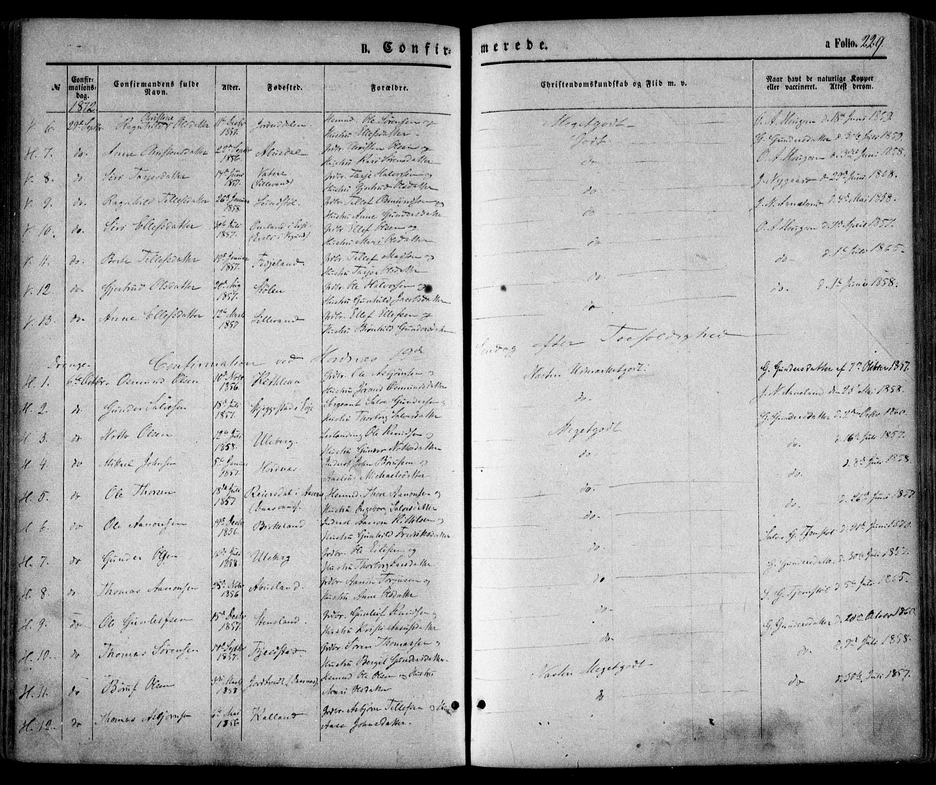 Evje sokneprestkontor, AV/SAK-1111-0008/F/Fa/Faa/L0006: Parish register (official) no. A 6, 1866-1884, p. 229