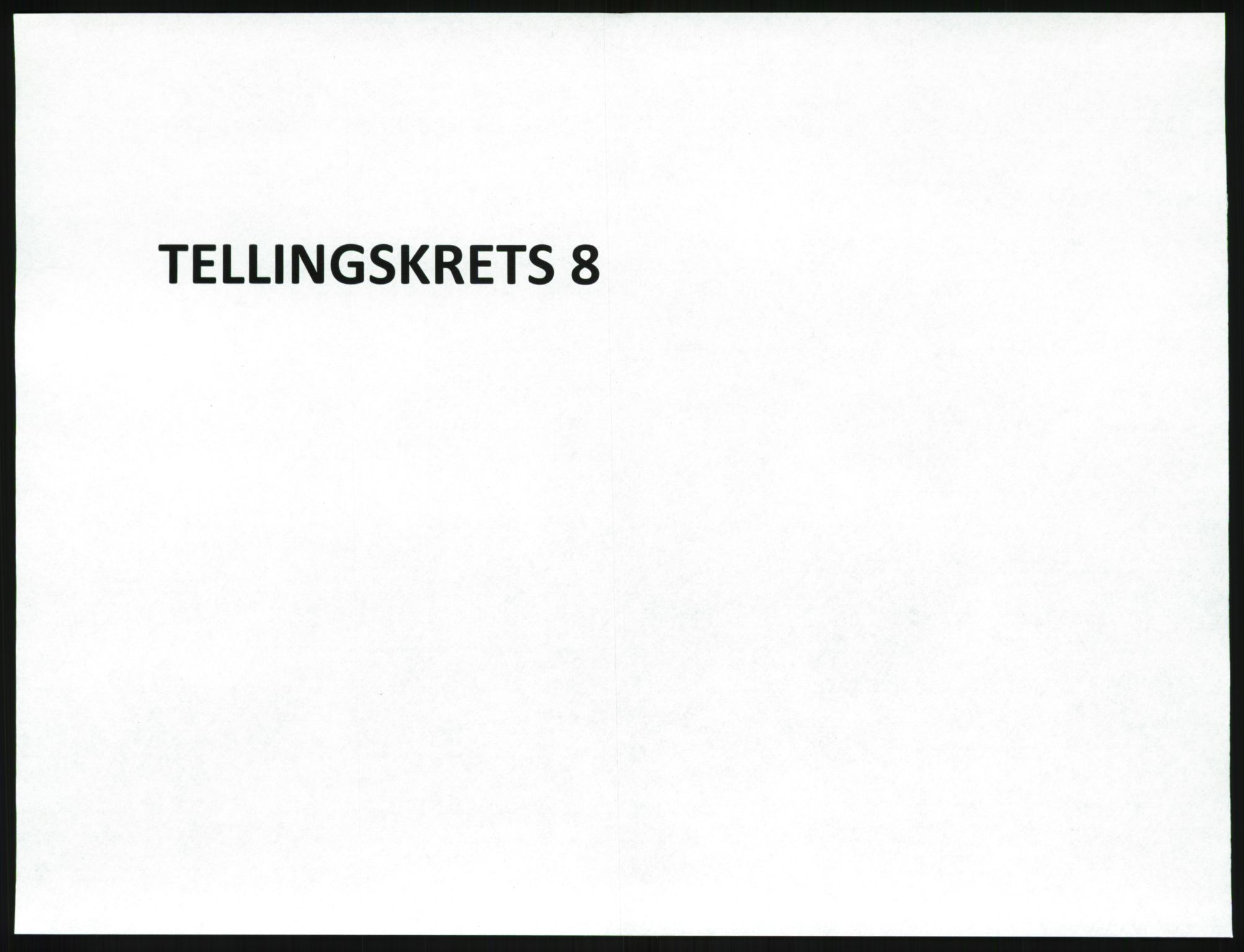 SAKO, 1920 census for Brunlanes, 1920, p. 1031