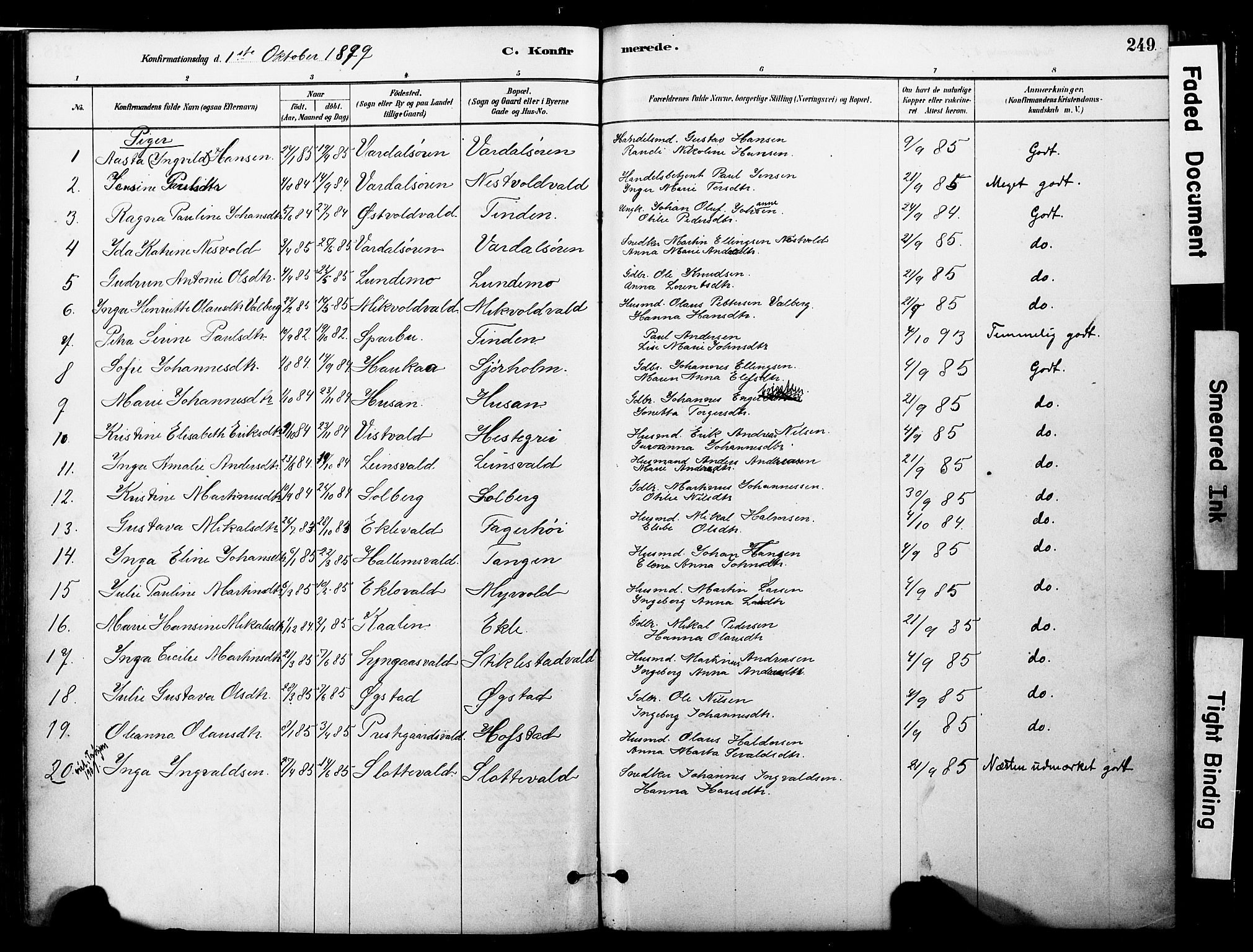 Ministerialprotokoller, klokkerbøker og fødselsregistre - Nord-Trøndelag, AV/SAT-A-1458/723/L0244: Parish register (official) no. 723A13, 1881-1899, p. 249