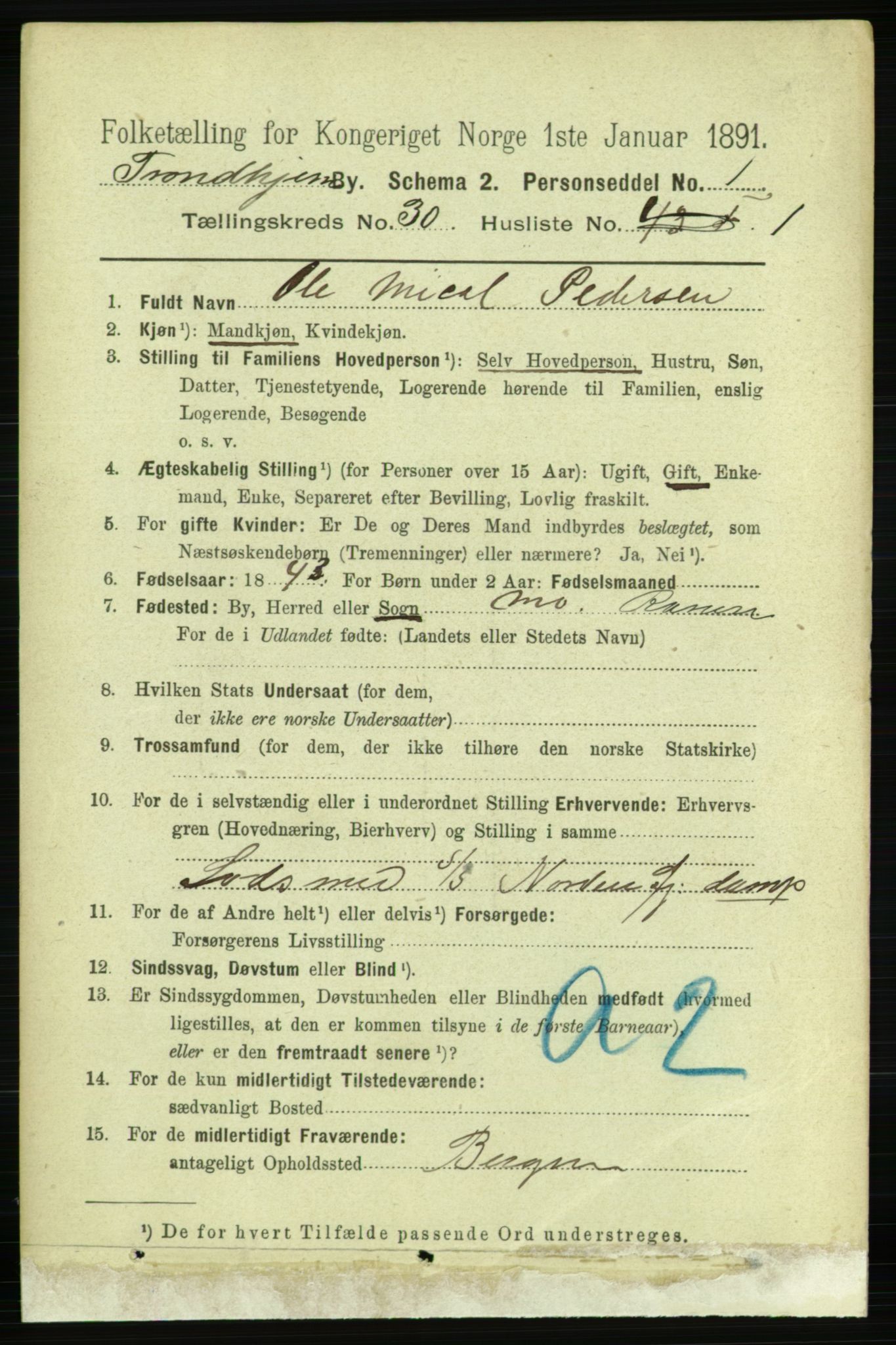 RA, 1891 census for 1601 Trondheim, 1891, p. 22224