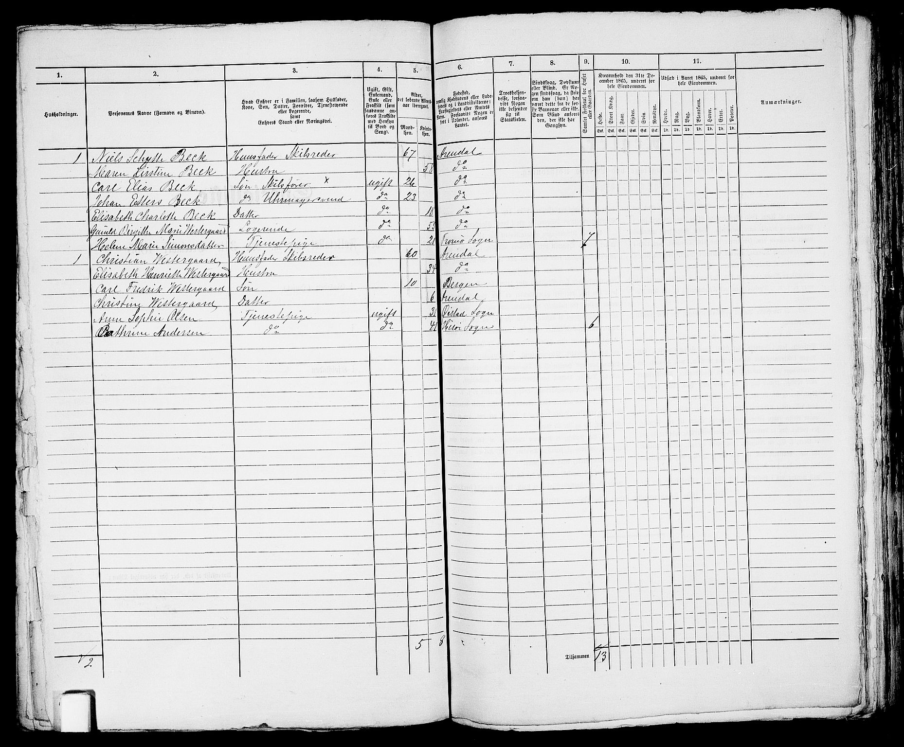 RA, 1865 census for Arendal, 1865, p. 484