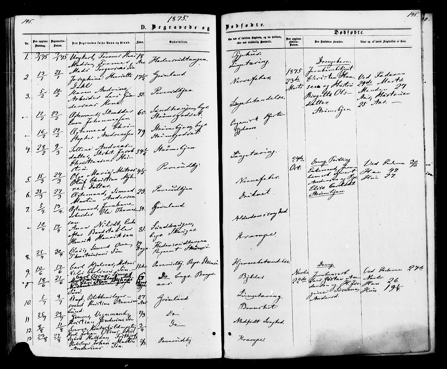 Strømsø kirkebøker, AV/SAKO-A-246/F/Fa/L0020: Parish register (official) no. I 20, 1870-1878, p. 195