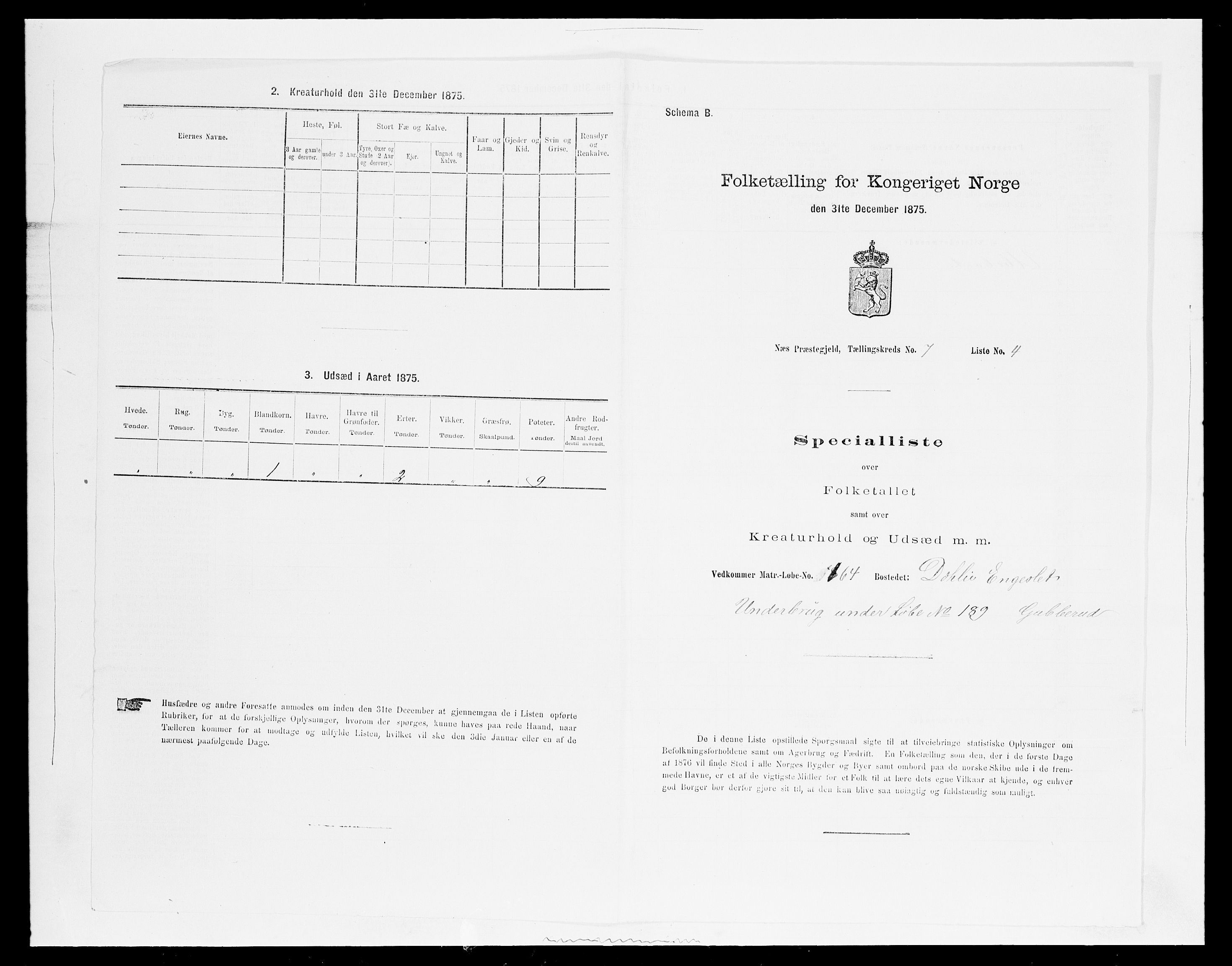 SAH, 1875 census for 0411P Nes, 1875, p. 1206