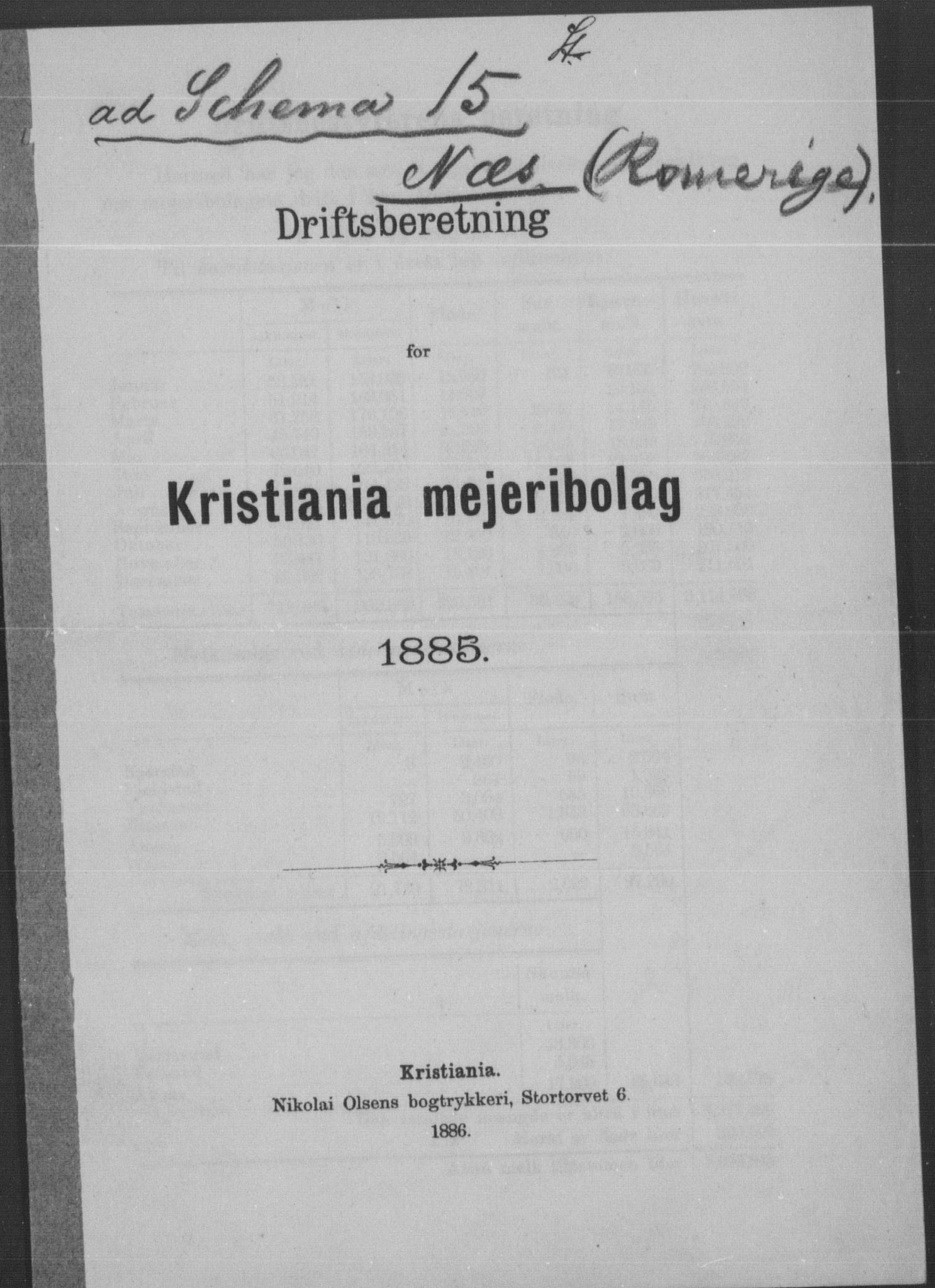 Statistisk sentralbyrå, Næringsøkonomiske emner, Generelt - Amtmennenes femårsberetninger, AV/RA-S-2233/F/Fa/L0067: --, 1885, p. 335