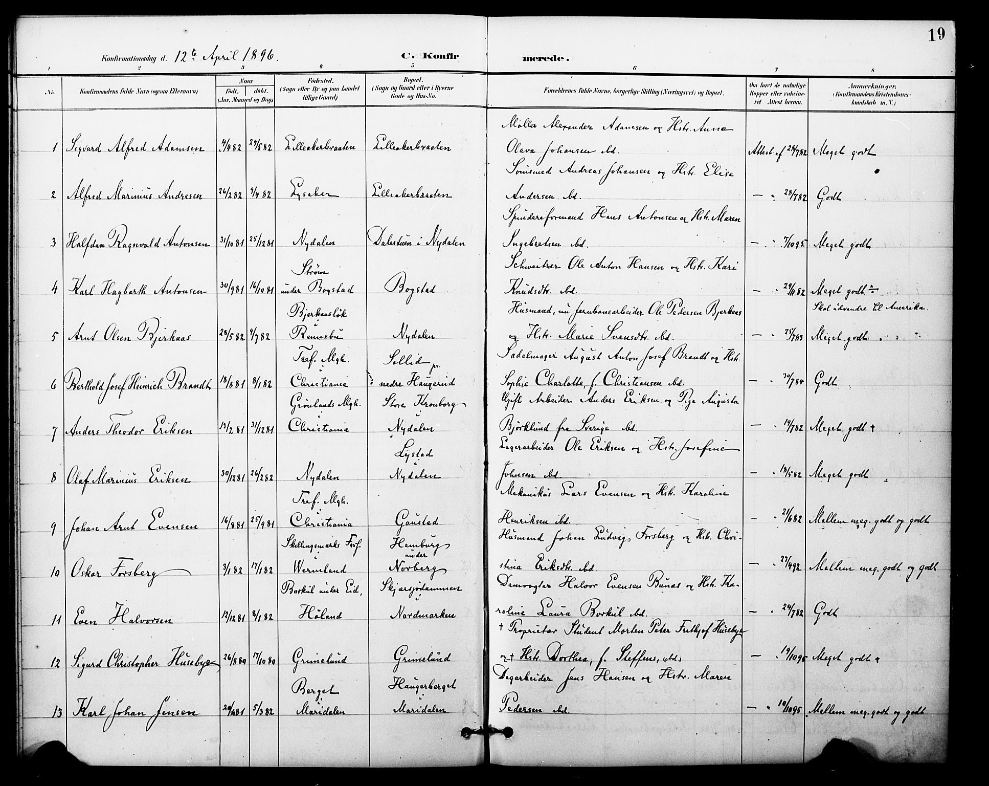 Vestre Aker prestekontor Kirkebøker, AV/SAO-A-10025/F/Fa/L0012: Parish register (official) no. 12, 1894-1909, p. 19