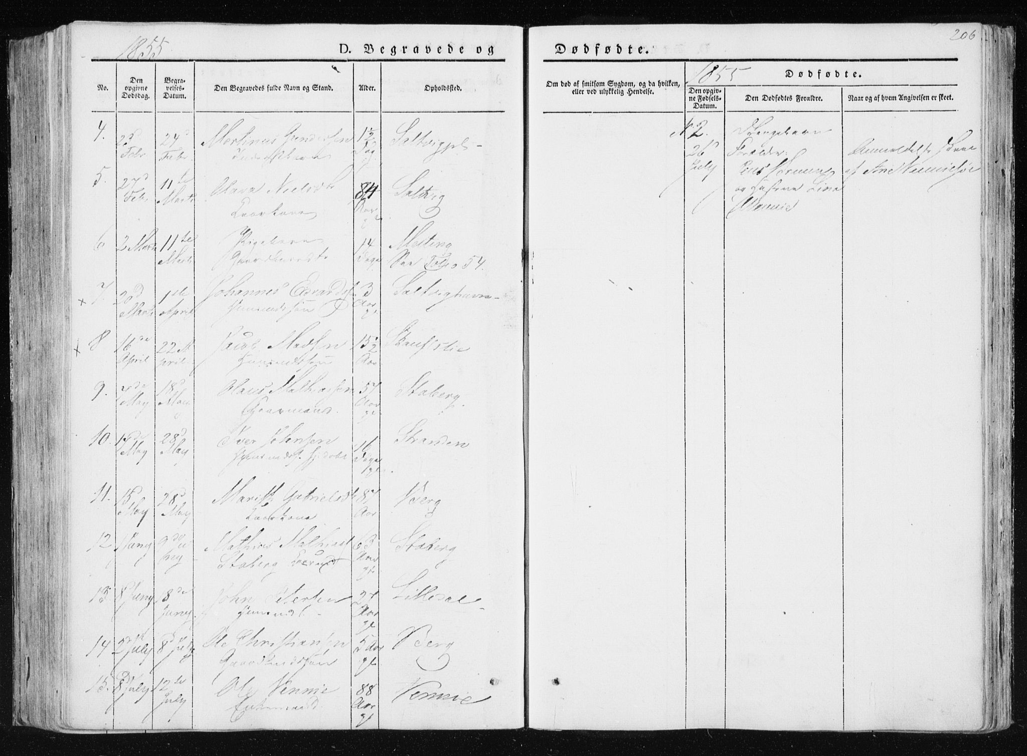 Ministerialprotokoller, klokkerbøker og fødselsregistre - Nord-Trøndelag, AV/SAT-A-1458/733/L0323: Parish register (official) no. 733A02, 1843-1870, p. 206