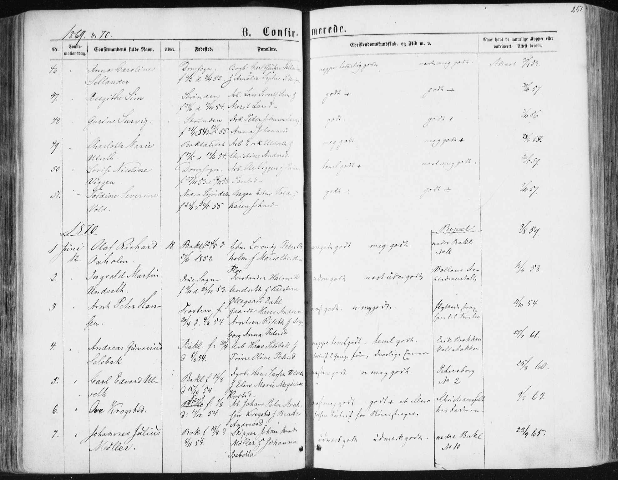 Ministerialprotokoller, klokkerbøker og fødselsregistre - Sør-Trøndelag, SAT/A-1456/604/L0186: Parish register (official) no. 604A07, 1866-1877, p. 251