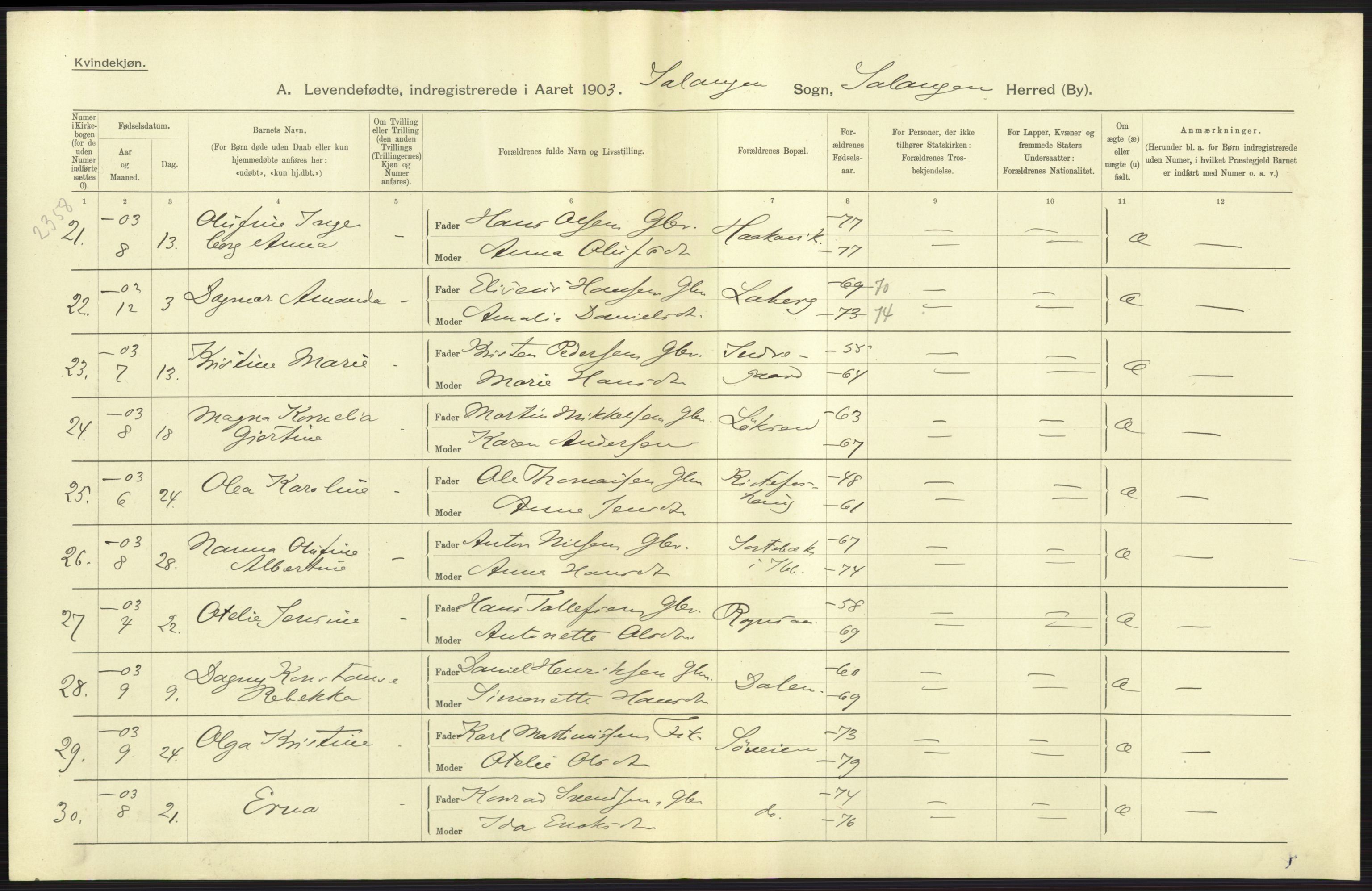 Statistisk sentralbyrå, Sosiodemografiske emner, Befolkning, AV/RA-S-2228/D/Df/Dfa/Dfaa/L0021: Tromsø amt: Fødte, gifte, døde., 1903, p. 25