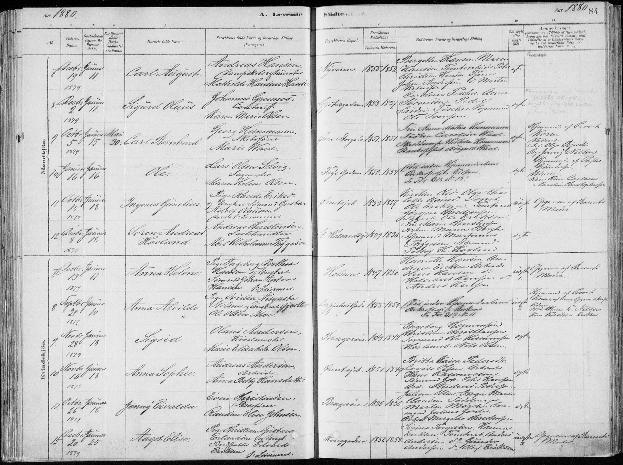 Bragernes kirkebøker, SAKO/A-6/F/Fb/L0006a: Parish register (official) no. II 6A, 1878-1885, p. 84
