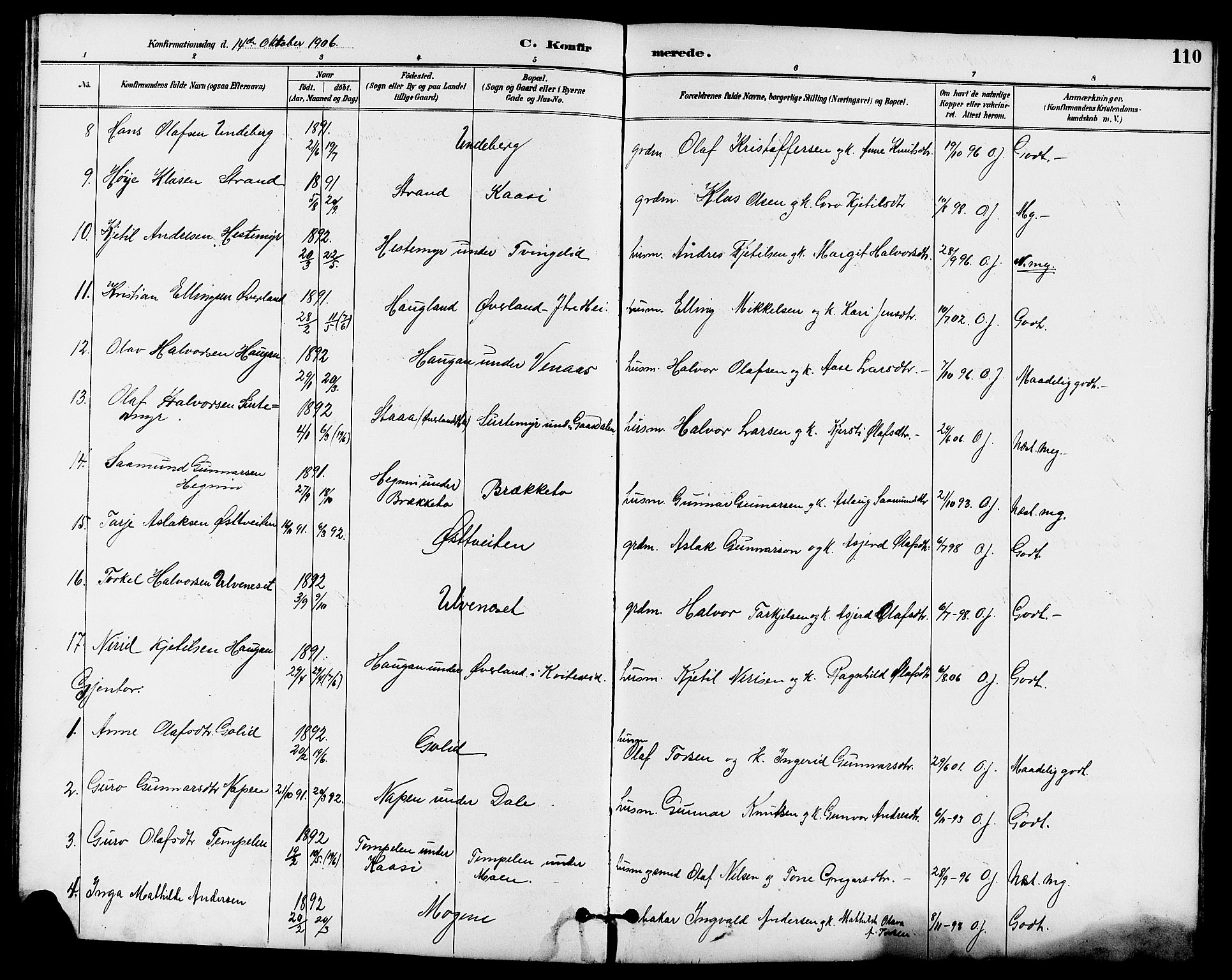 Seljord kirkebøker, AV/SAKO-A-20/G/Ga/L0005: Parish register (copy) no. I 5, 1887-1914, p. 110