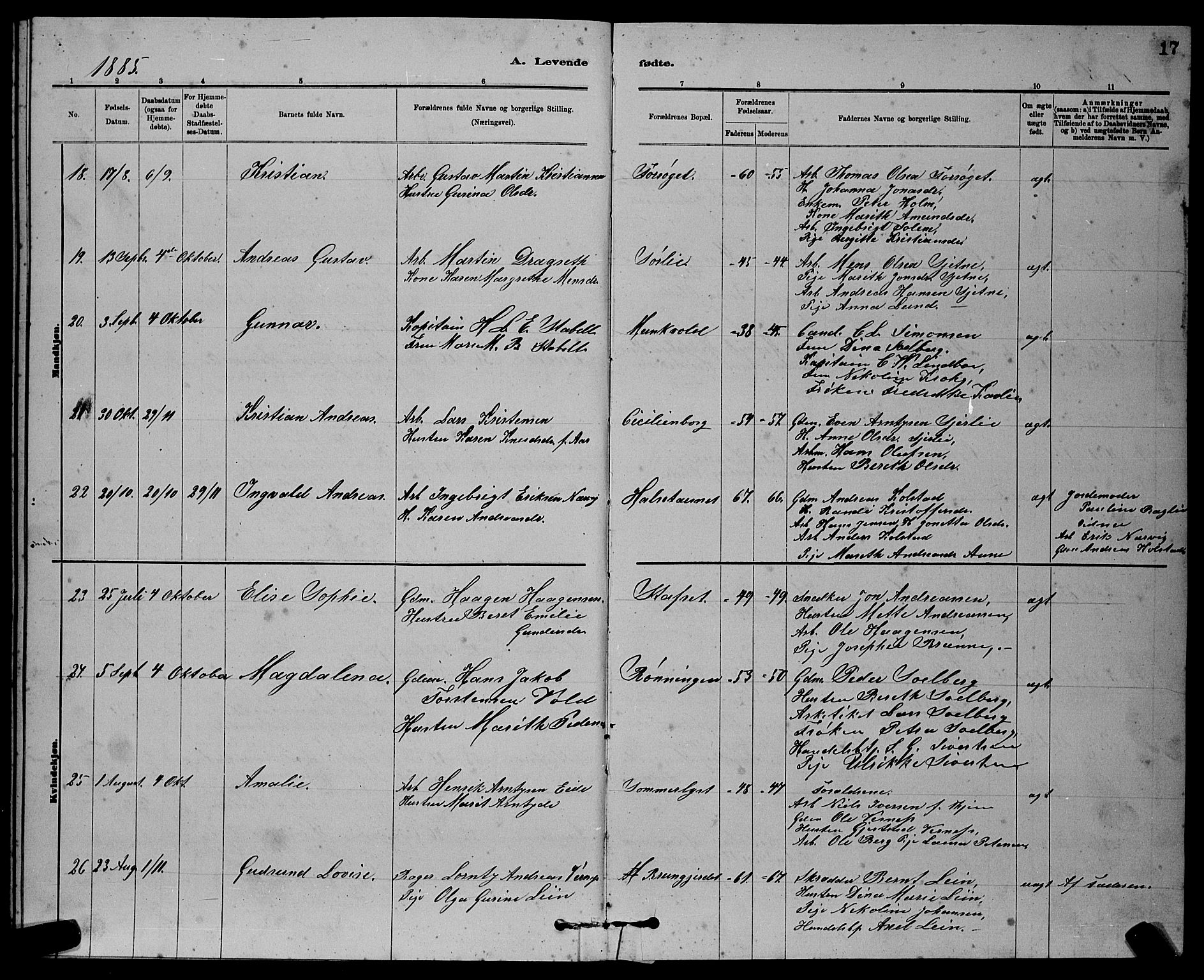 Ministerialprotokoller, klokkerbøker og fødselsregistre - Sør-Trøndelag, SAT/A-1456/611/L0354: Parish register (copy) no. 611C02, 1881-1896, p. 17