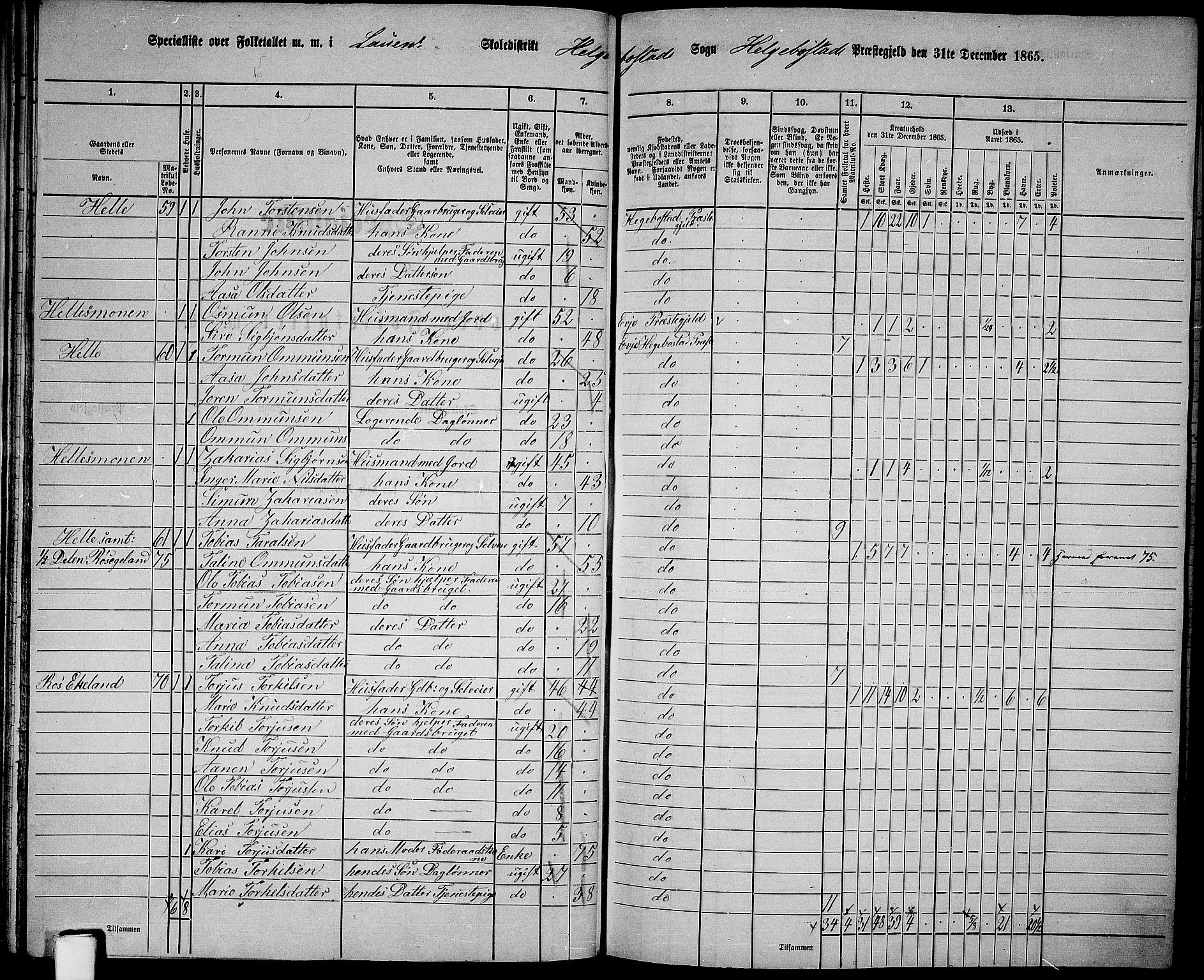 RA, 1865 census for Hægebostad, 1865, p. 46