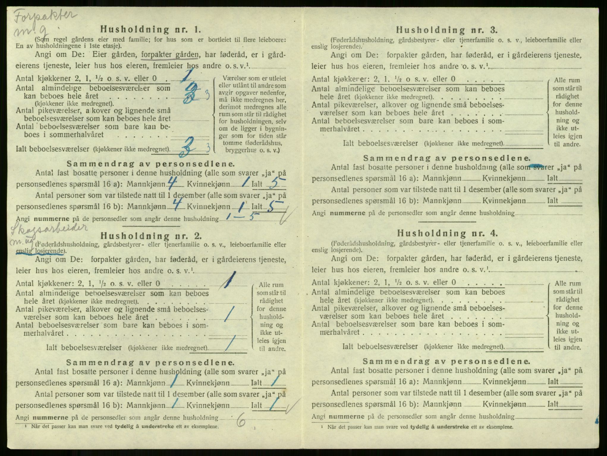 SAKO, 1920 census for Andebu, 1920, p. 1137