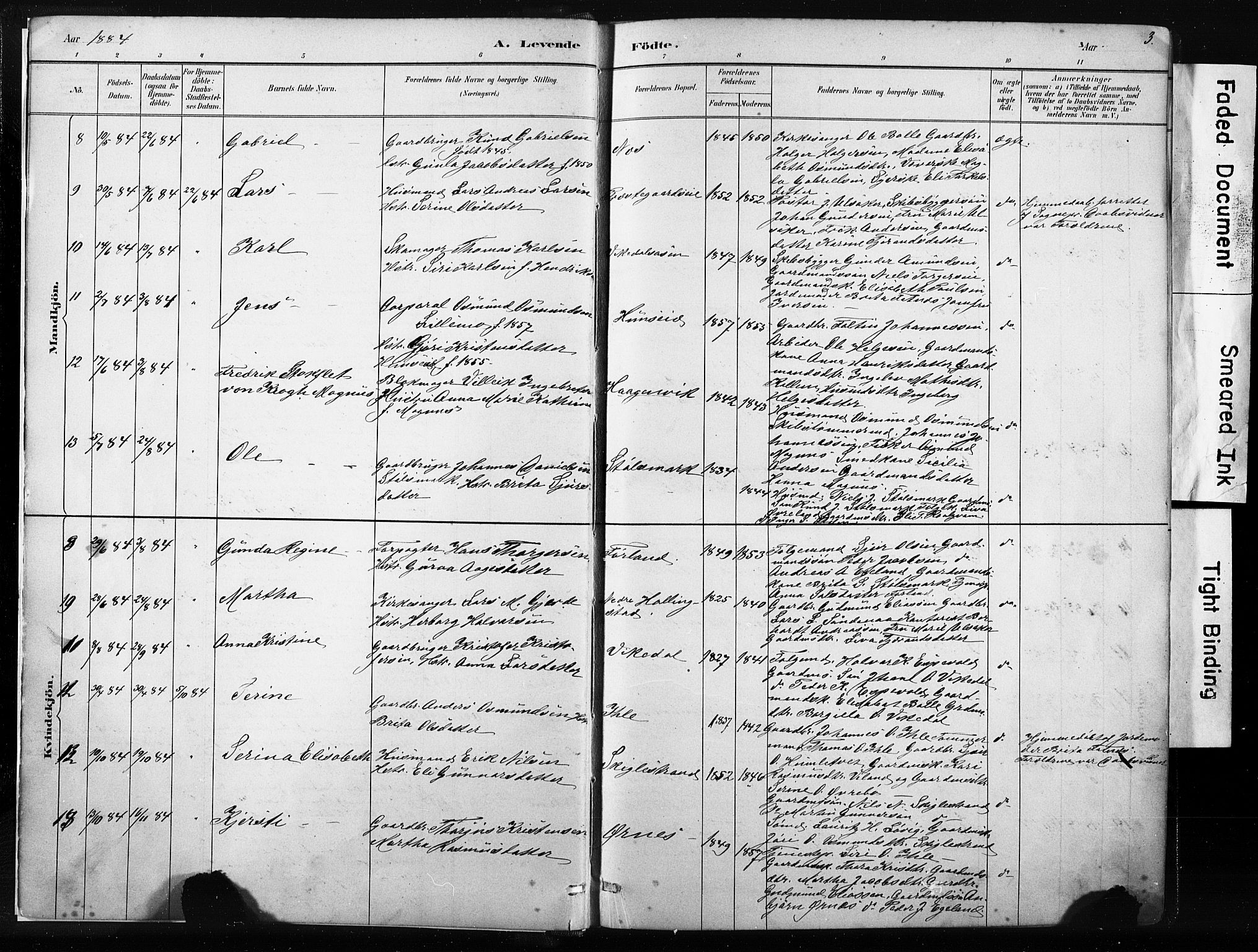 Vikedal sokneprestkontor, SAST/A-101840/01/IV: Parish register (official) no. A 10, 1884-1907, p. 3