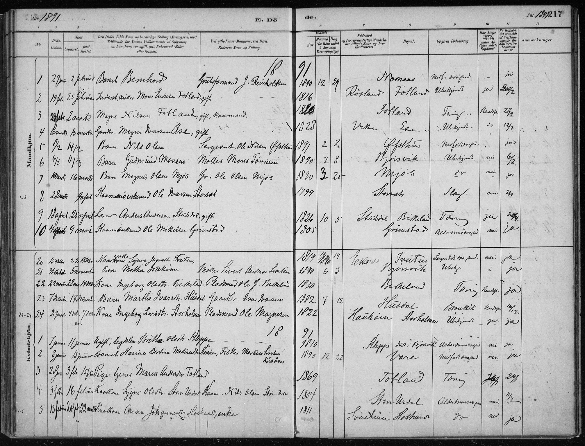 Hosanger sokneprestembete, AV/SAB-A-75801/H/Haa: Parish register (official) no. B  1, 1880-1896, p. 217