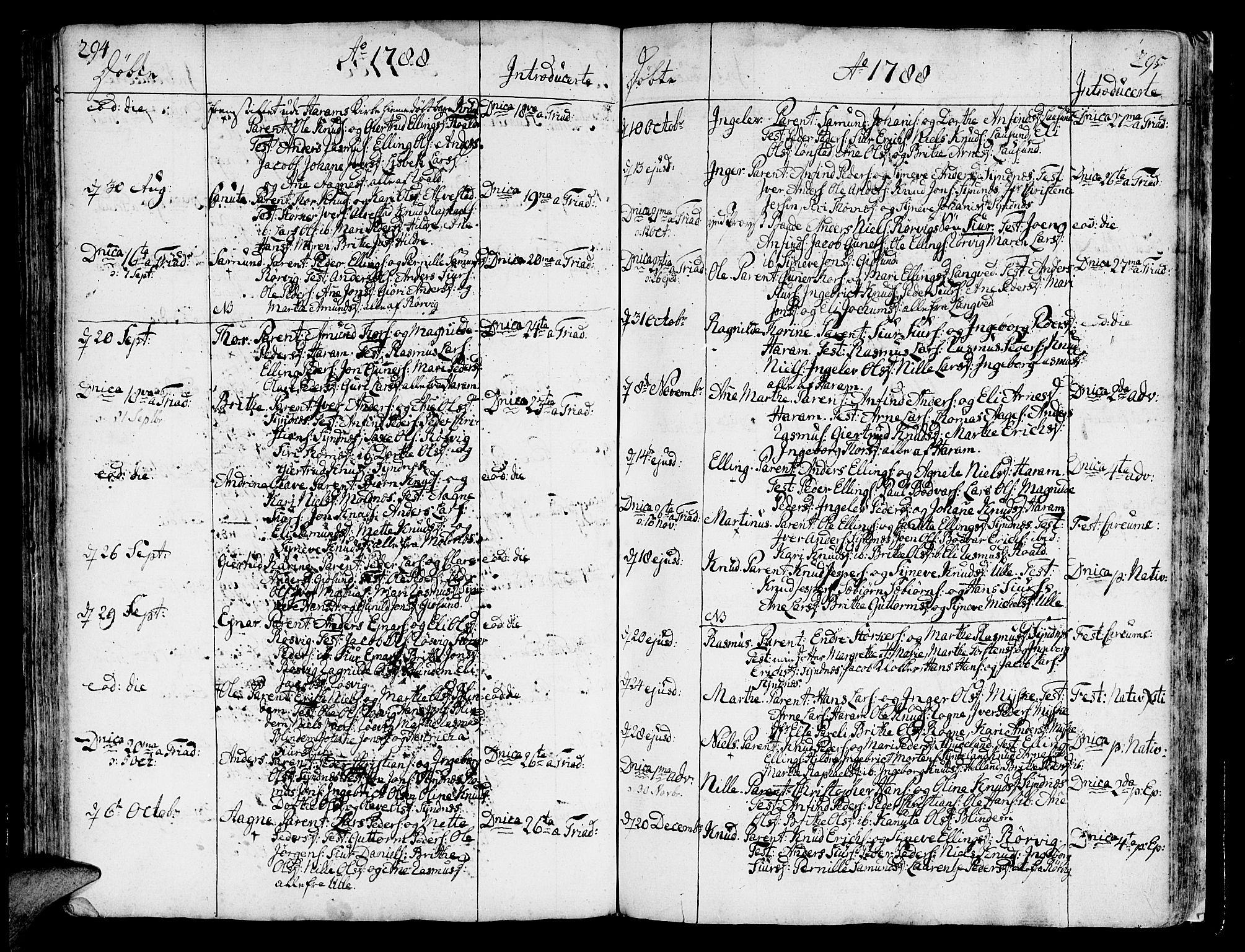 Ministerialprotokoller, klokkerbøker og fødselsregistre - Møre og Romsdal, AV/SAT-A-1454/536/L0493: Parish register (official) no. 536A02, 1739-1802, p. 294-295