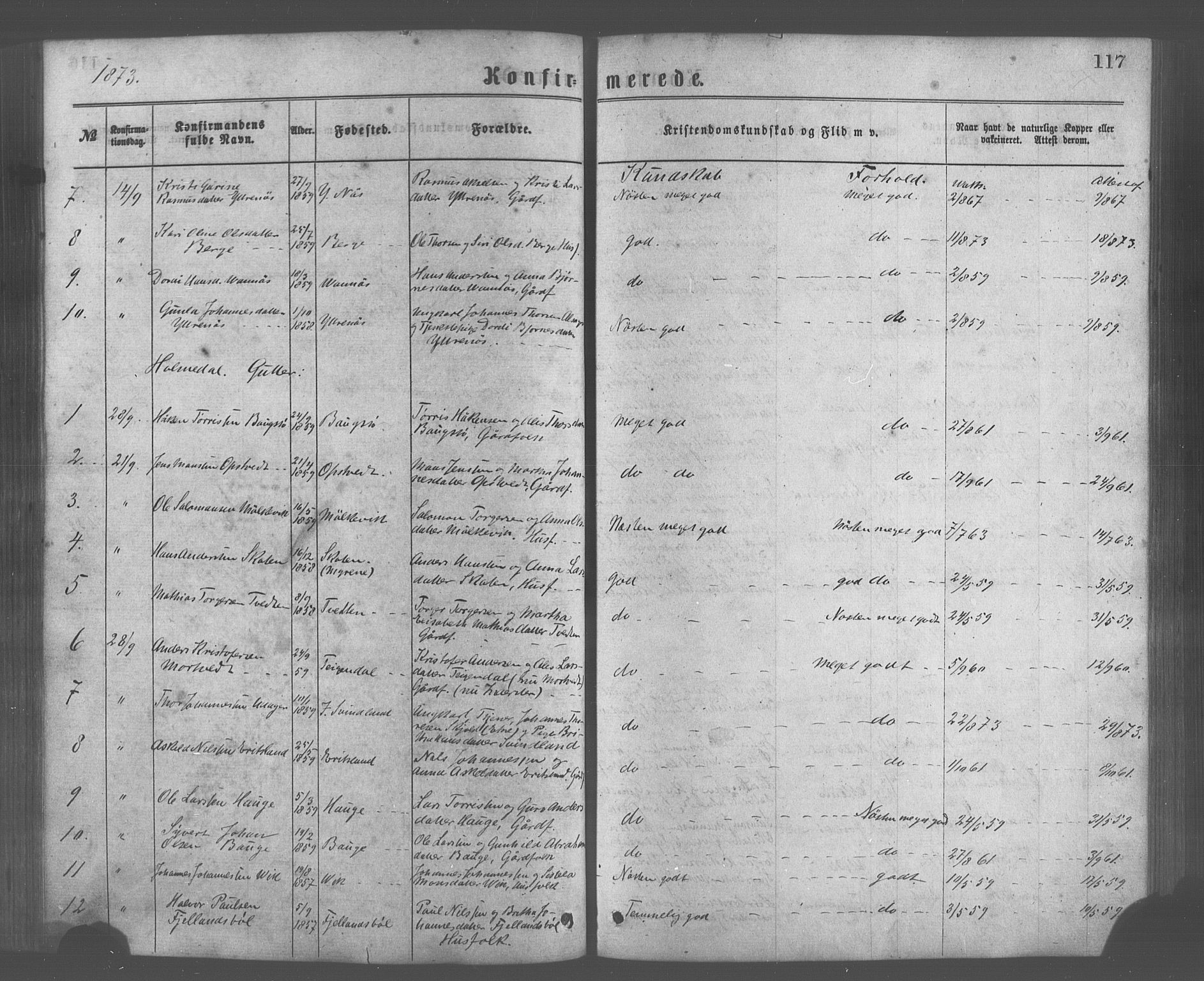 Skånevik sokneprestembete, AV/SAB-A-77801/H/Haa: Parish register (official) no. A 6, 1869-1878, p. 117