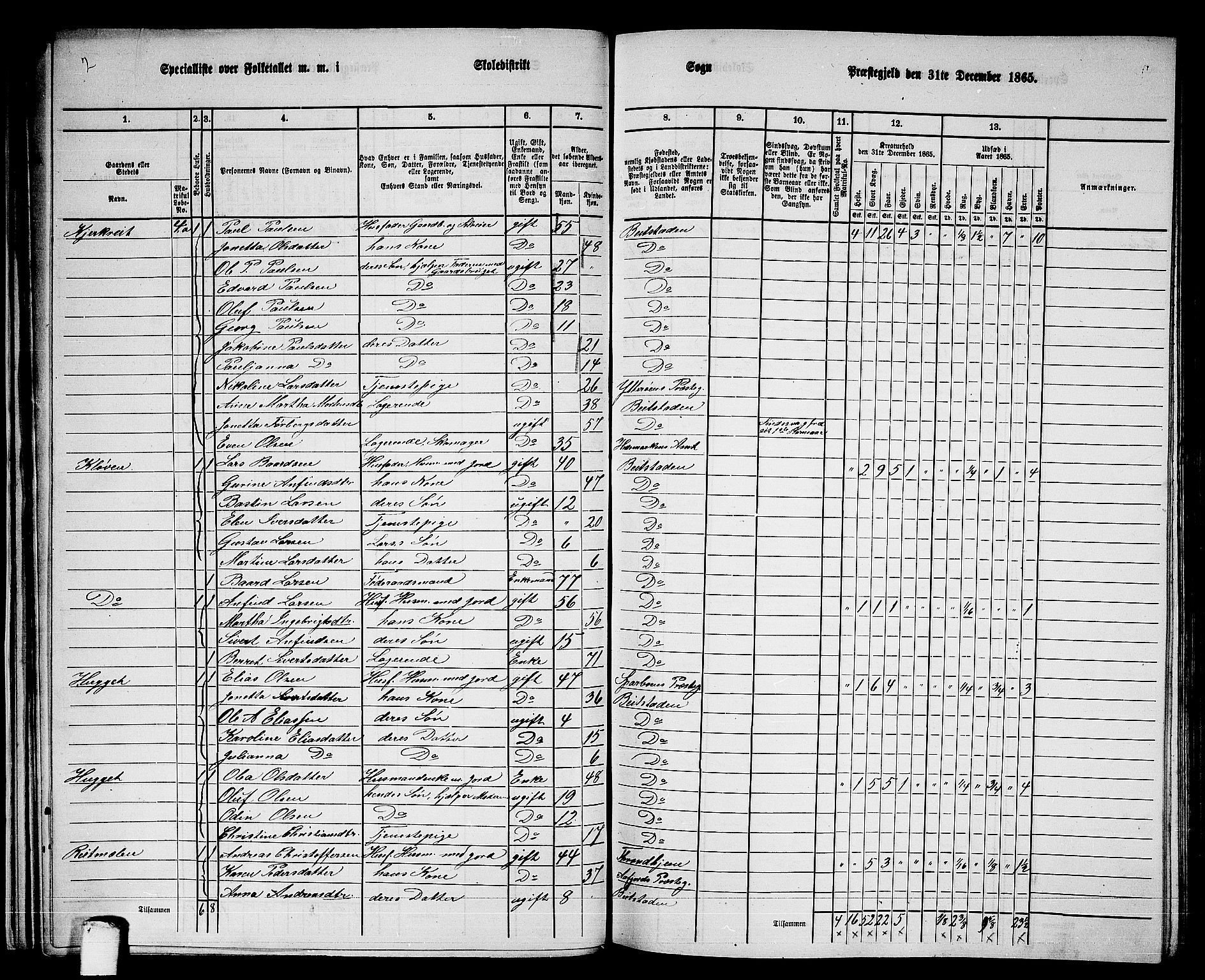 RA, 1865 census for Beitstad, 1865, p. 33