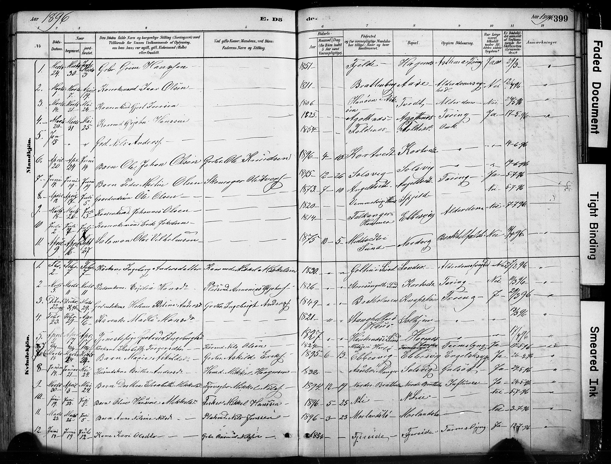 Fjell sokneprestembete, SAB/A-75301/H/Hab: Parish register (copy) no. A 4, 1880-1899, p. 399