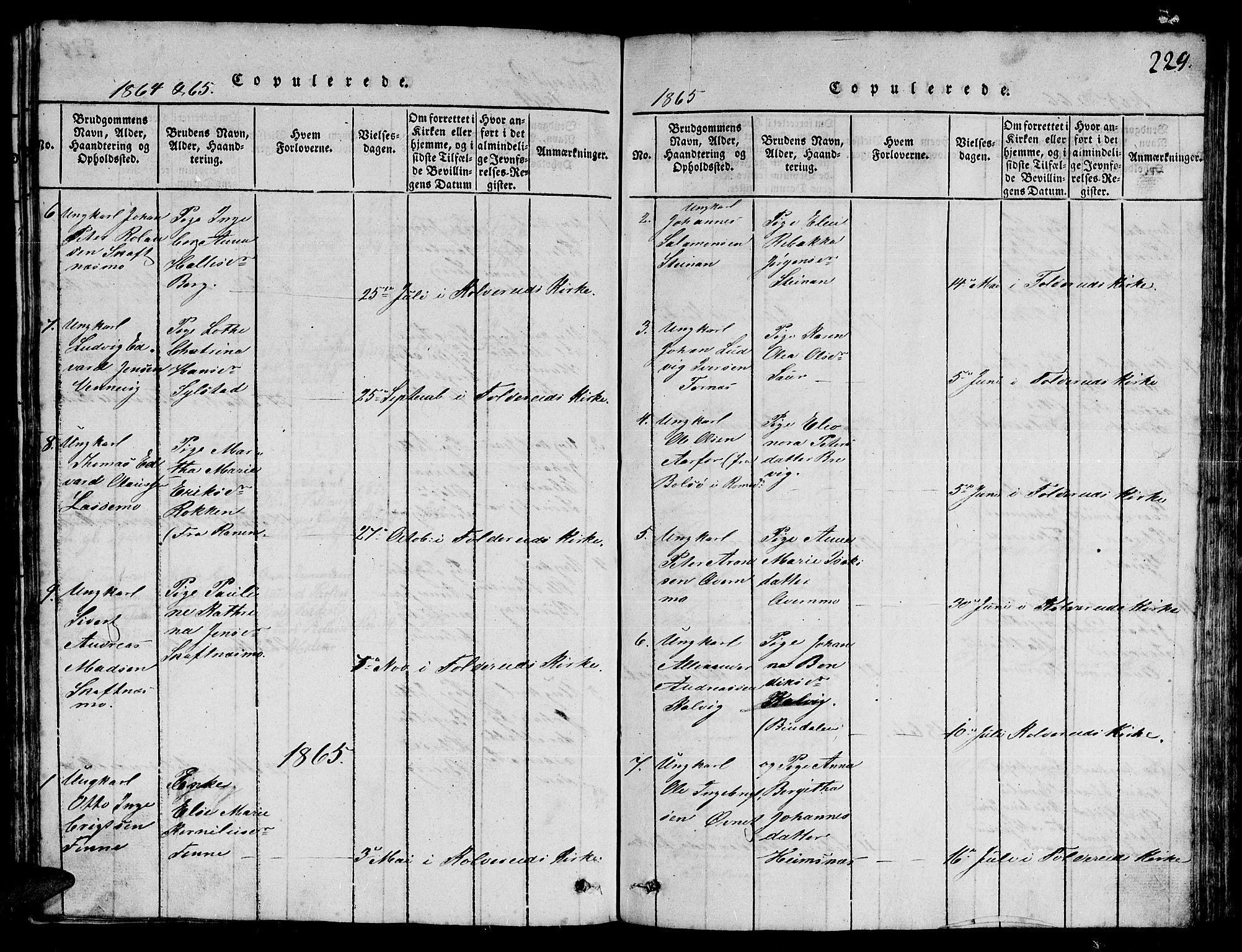 Ministerialprotokoller, klokkerbøker og fødselsregistre - Nord-Trøndelag, SAT/A-1458/780/L0648: Parish register (copy) no. 780C01 /3, 1815-1877, p. 229