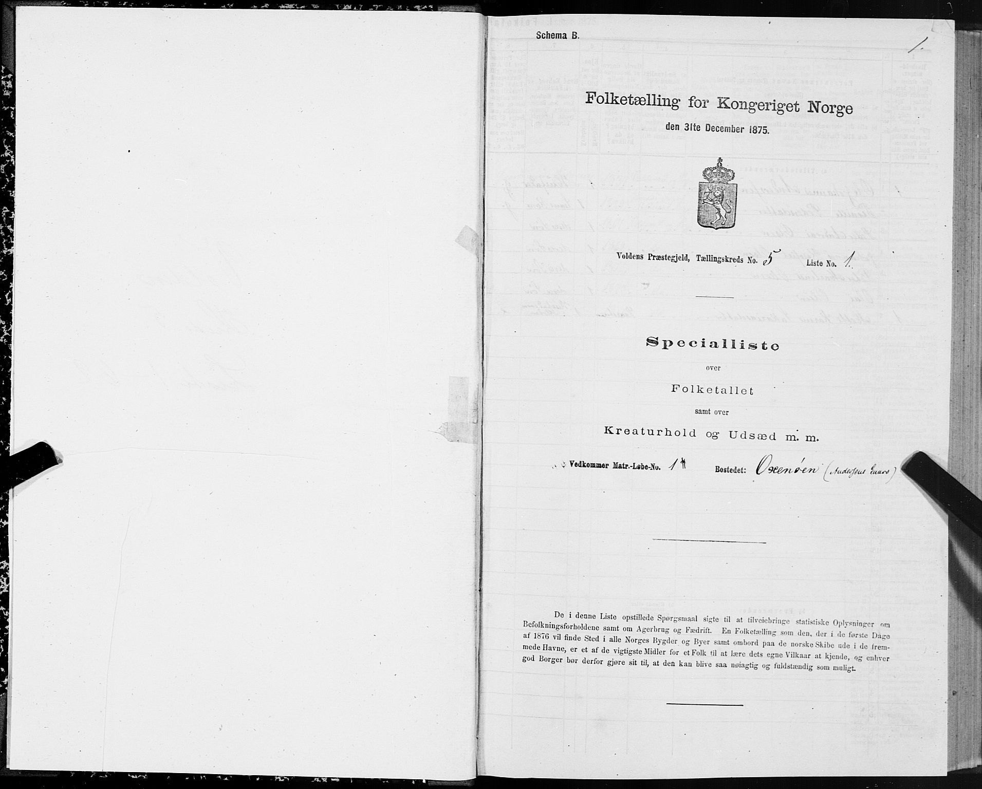 SAT, 1875 census for 1519P Volda, 1875, p. 4001