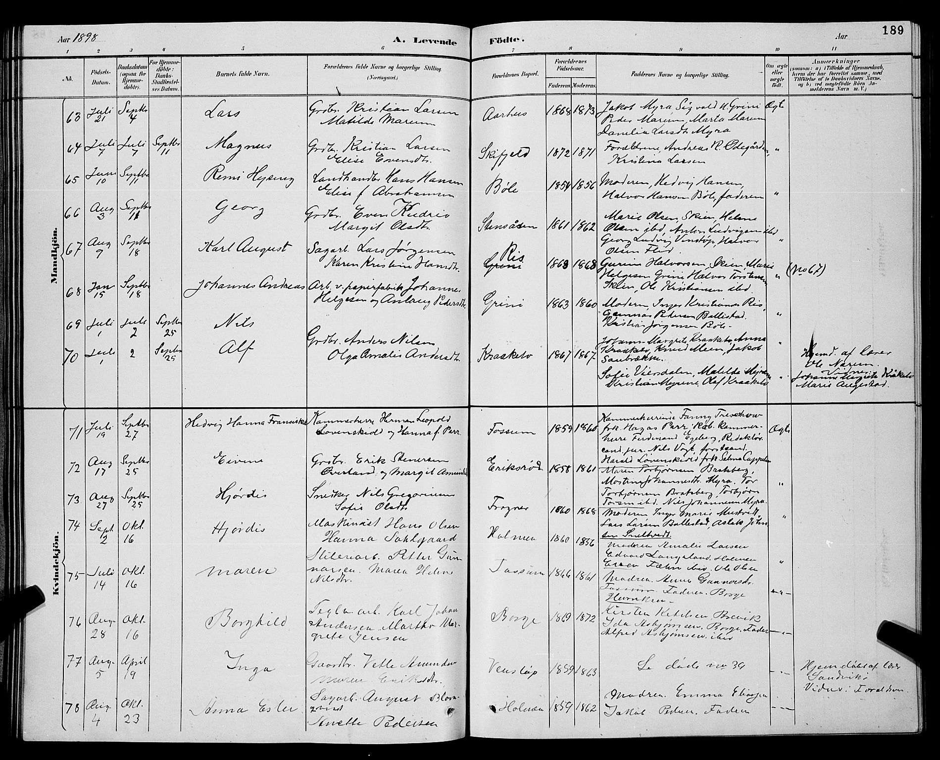 Gjerpen kirkebøker, SAKO/A-265/G/Ga/L0002: Parish register (copy) no. I 2, 1883-1900, p. 189