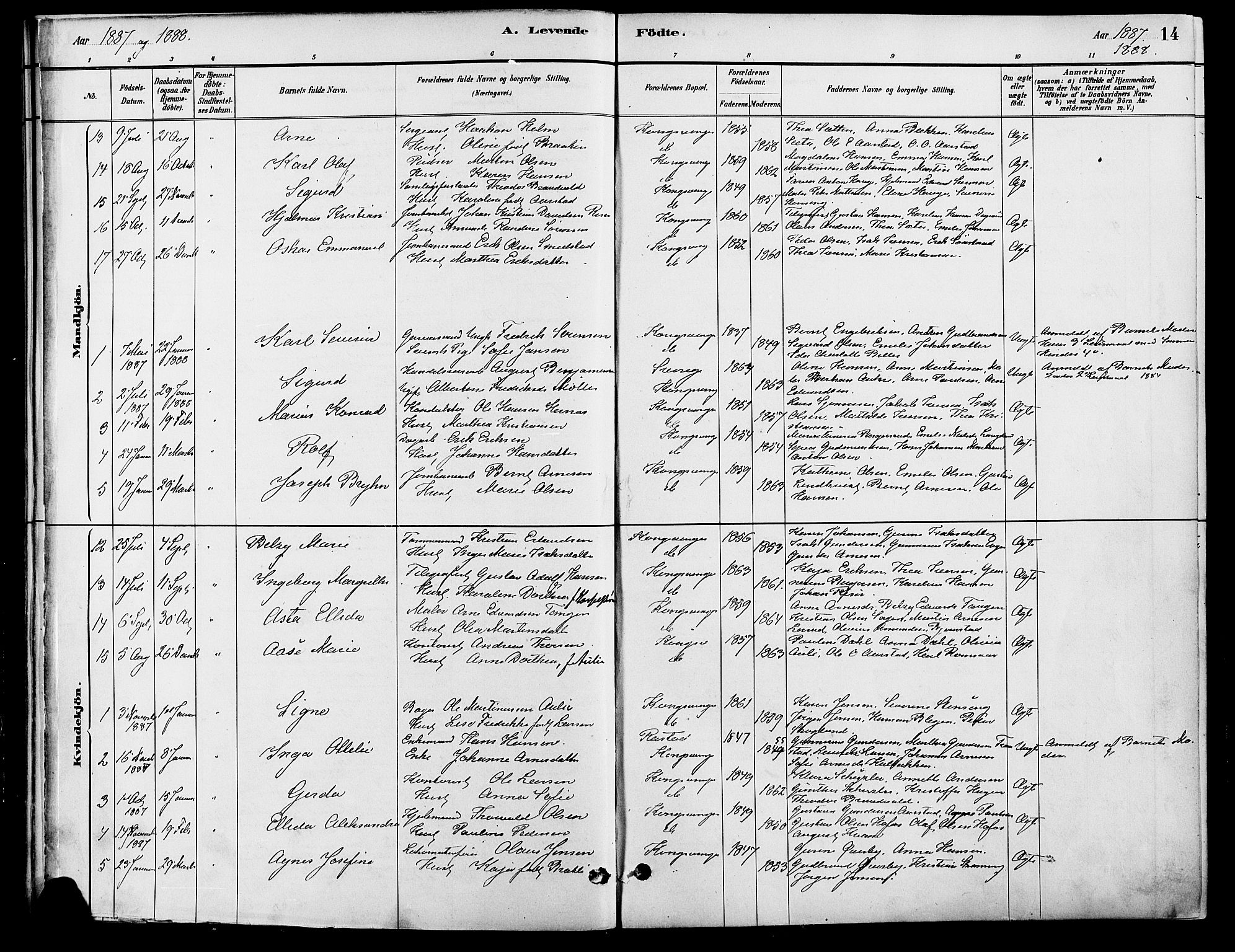 Vinger prestekontor, SAH/PREST-024/H/Ha/Haa/L0013: Parish register (official) no. 13, 1881-1897, p. 14