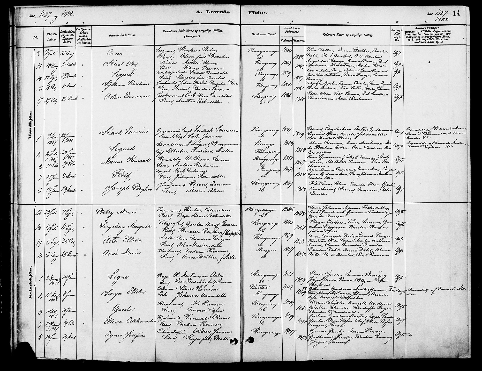 Vinger prestekontor, AV/SAH-PREST-024/H/Ha/Haa/L0013: Parish register (official) no. 13, 1881-1897, p. 14