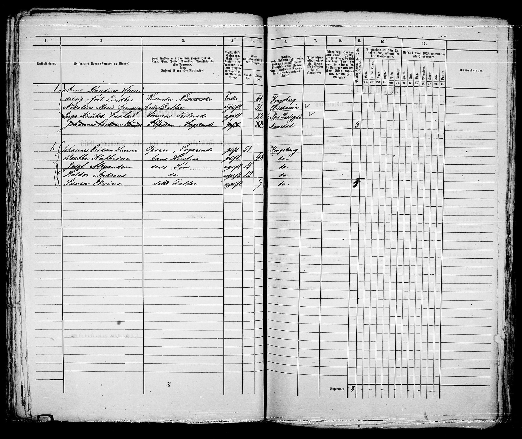 RA, 1865 census for Kongsberg/Kongsberg, 1865, p. 768