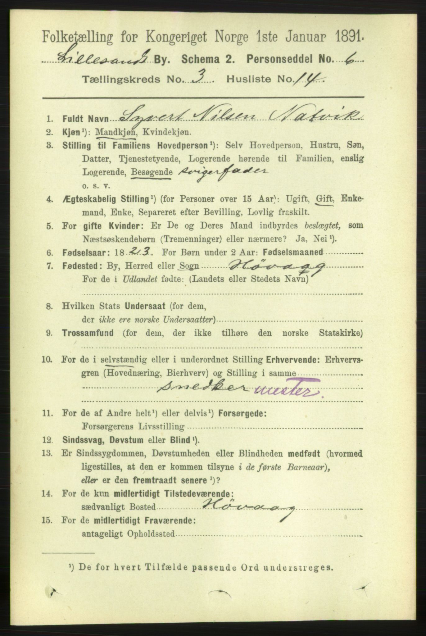 RA, 1891 census for 0905 Lillesand, 1891, p. 774