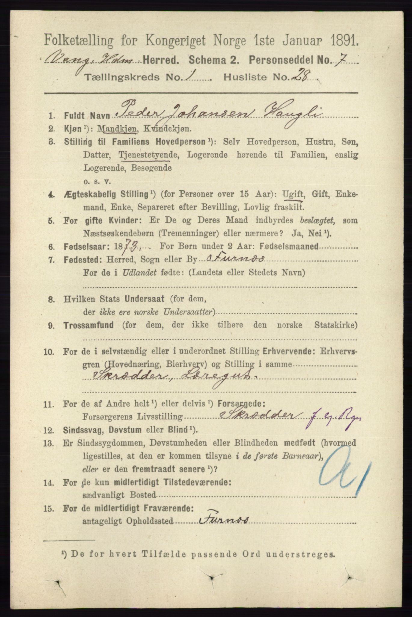 RA, 1891 census for 0414 Vang, 1891, p. 348