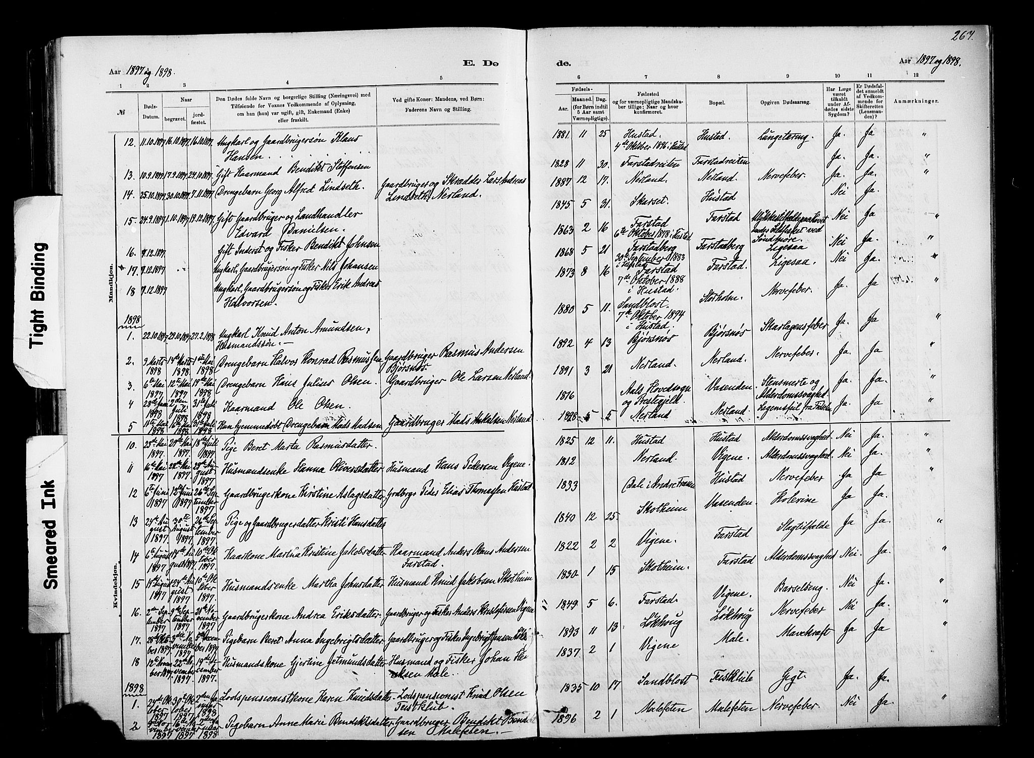 Ministerialprotokoller, klokkerbøker og fødselsregistre - Møre og Romsdal, AV/SAT-A-1454/567/L0778: Parish register (official) no. 567A01, 1881-1903, p. 267