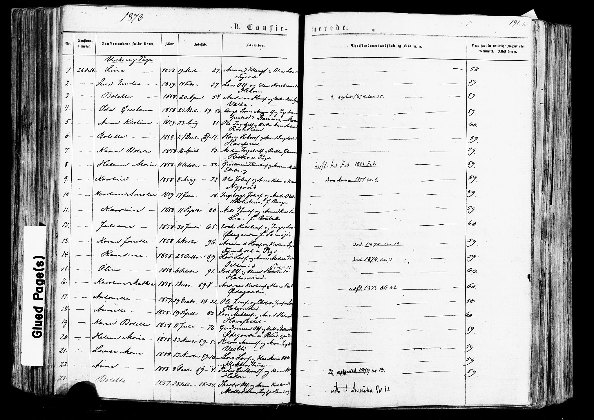 Aurskog prestekontor Kirkebøker, AV/SAO-A-10304a/F/Fa/L0007: Parish register (official) no. I 7, 1854-1877, p. 191h