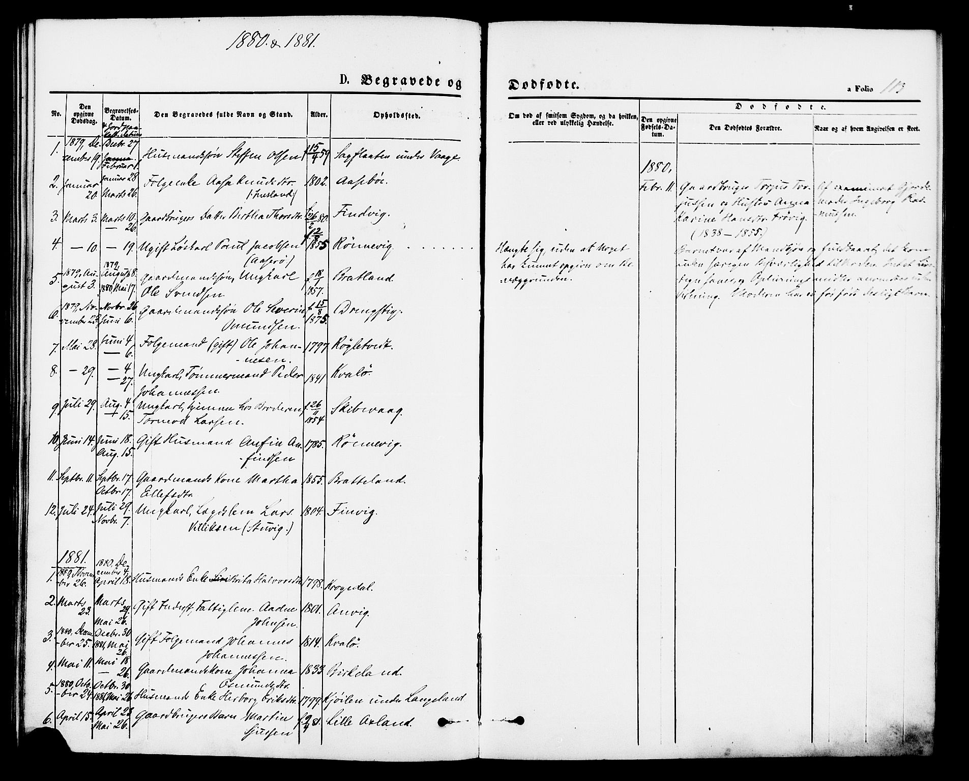 Vikedal sokneprestkontor, AV/SAST-A-101840/01/IV: Parish register (official) no. A 9, 1868-1885, p. 113