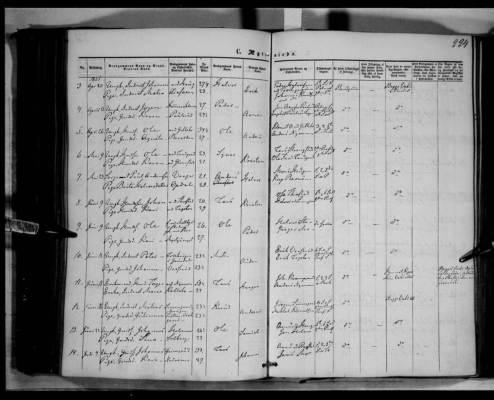 Øyer prestekontor, SAH/PREST-084/H/Ha/Haa/L0006: Parish register (official) no. 6, 1858-1874, p. 224