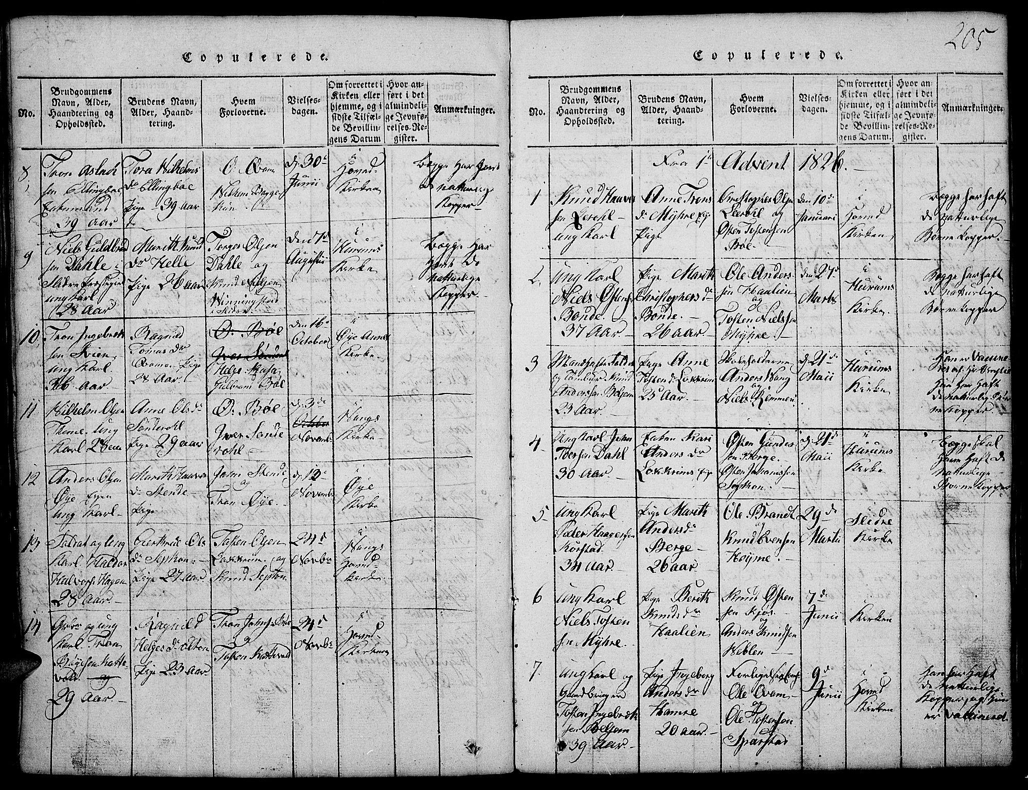 Vang prestekontor, Valdres, SAH/PREST-140/H/Hb/L0002: Parish register (copy) no. 2, 1814-1889, p. 205