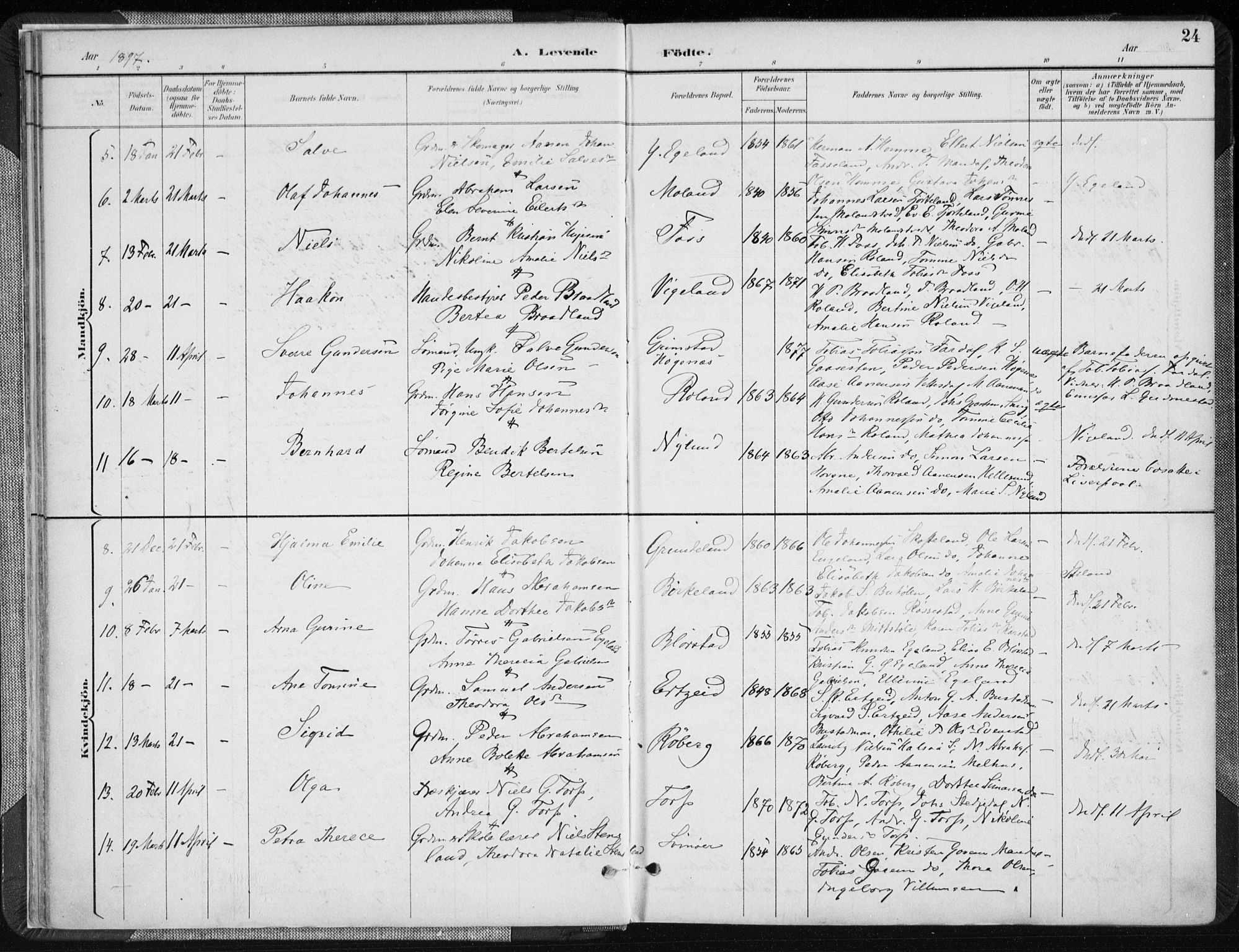 Sør-Audnedal sokneprestkontor, AV/SAK-1111-0039/F/Fa/Fab/L0010: Parish register (official) no. A 10, 1892-1913, p. 24