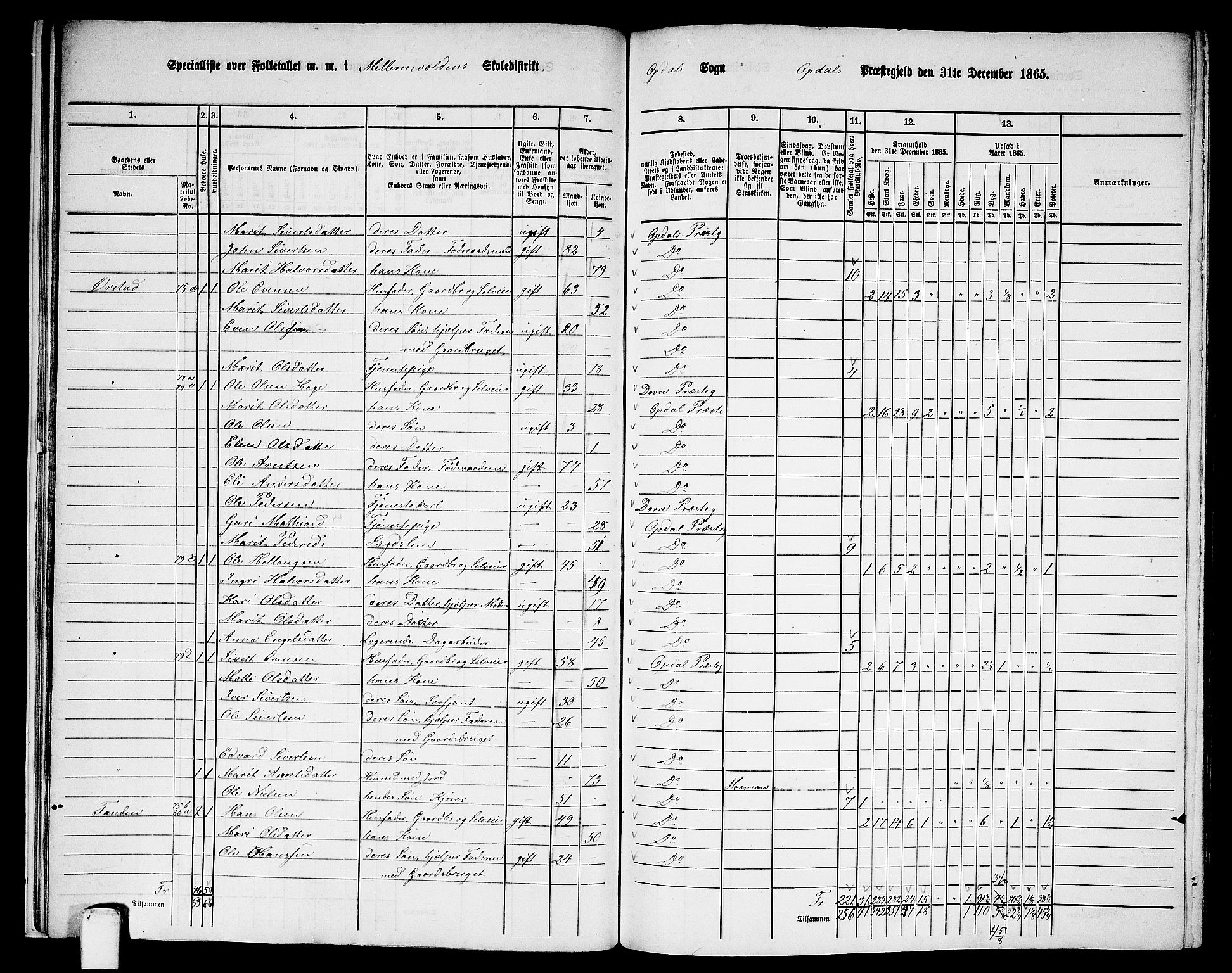 RA, 1865 census for Oppdal, 1865, p. 23