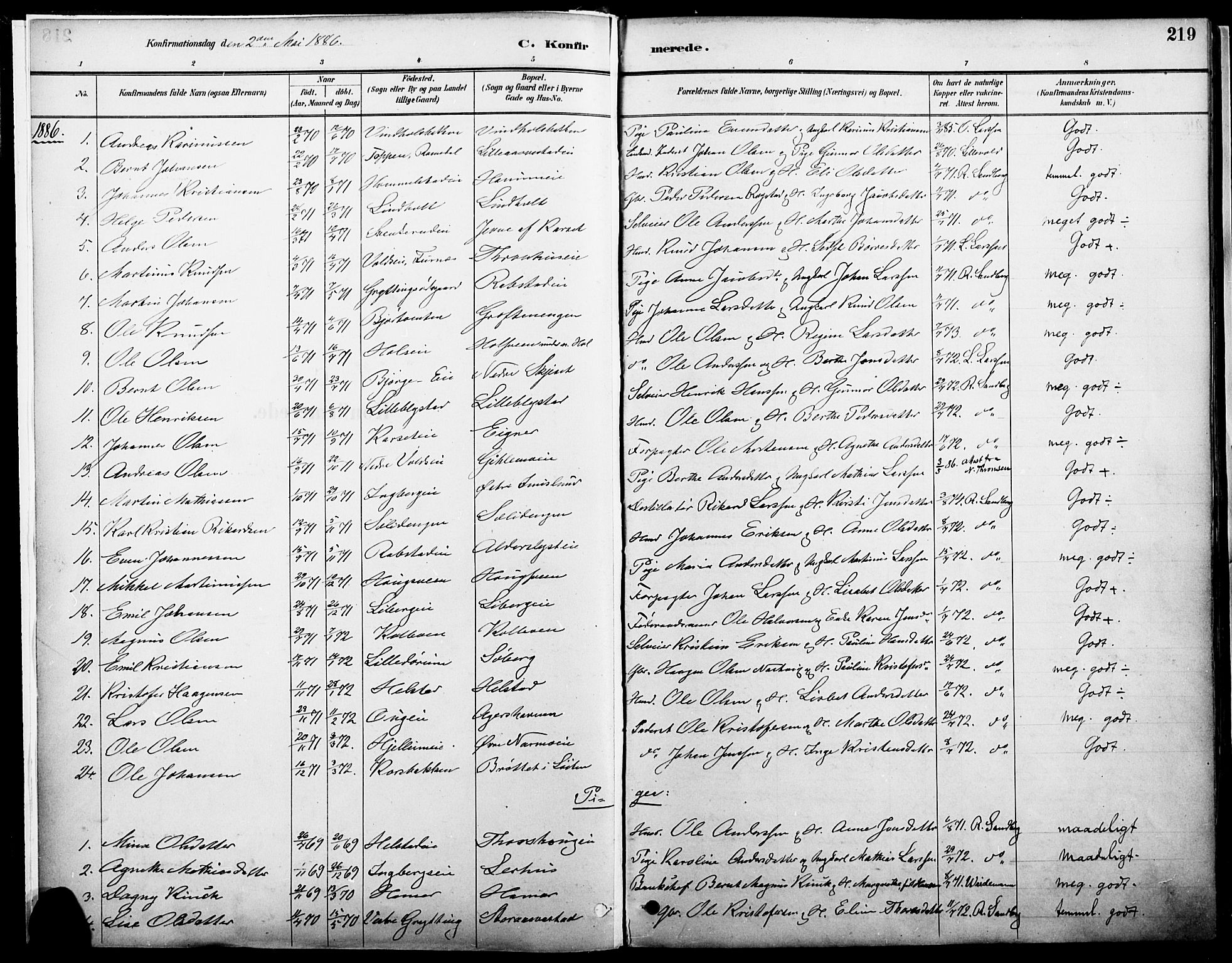 Vang prestekontor, Hedmark, SAH/PREST-008/H/Ha/Haa/L0019A: Parish register (official) no. 19, 1886-1900, p. 219