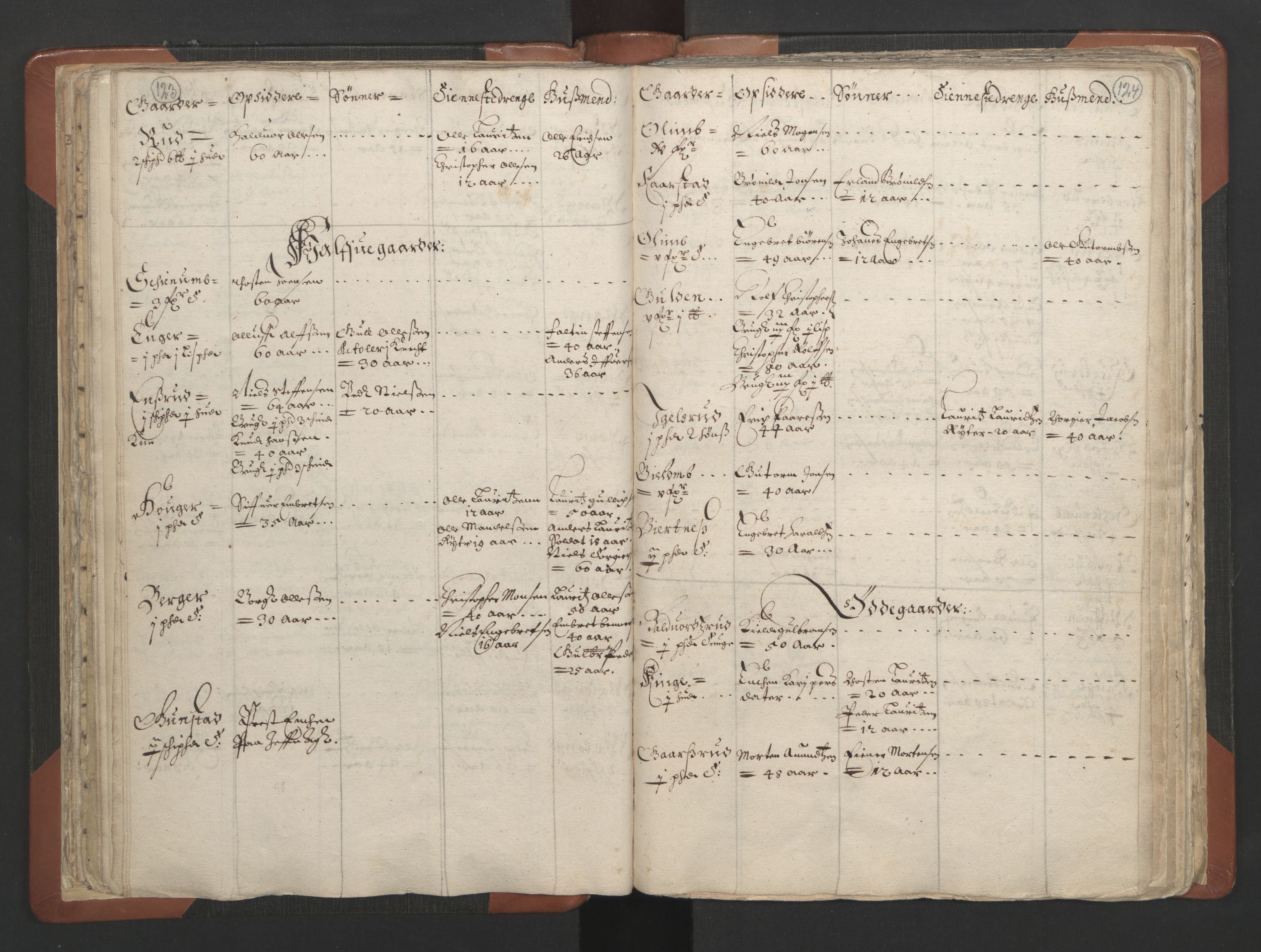 RA, Vicar's Census 1664-1666, no. 7: Hadeland deanery, 1664-1666, p. 123-124