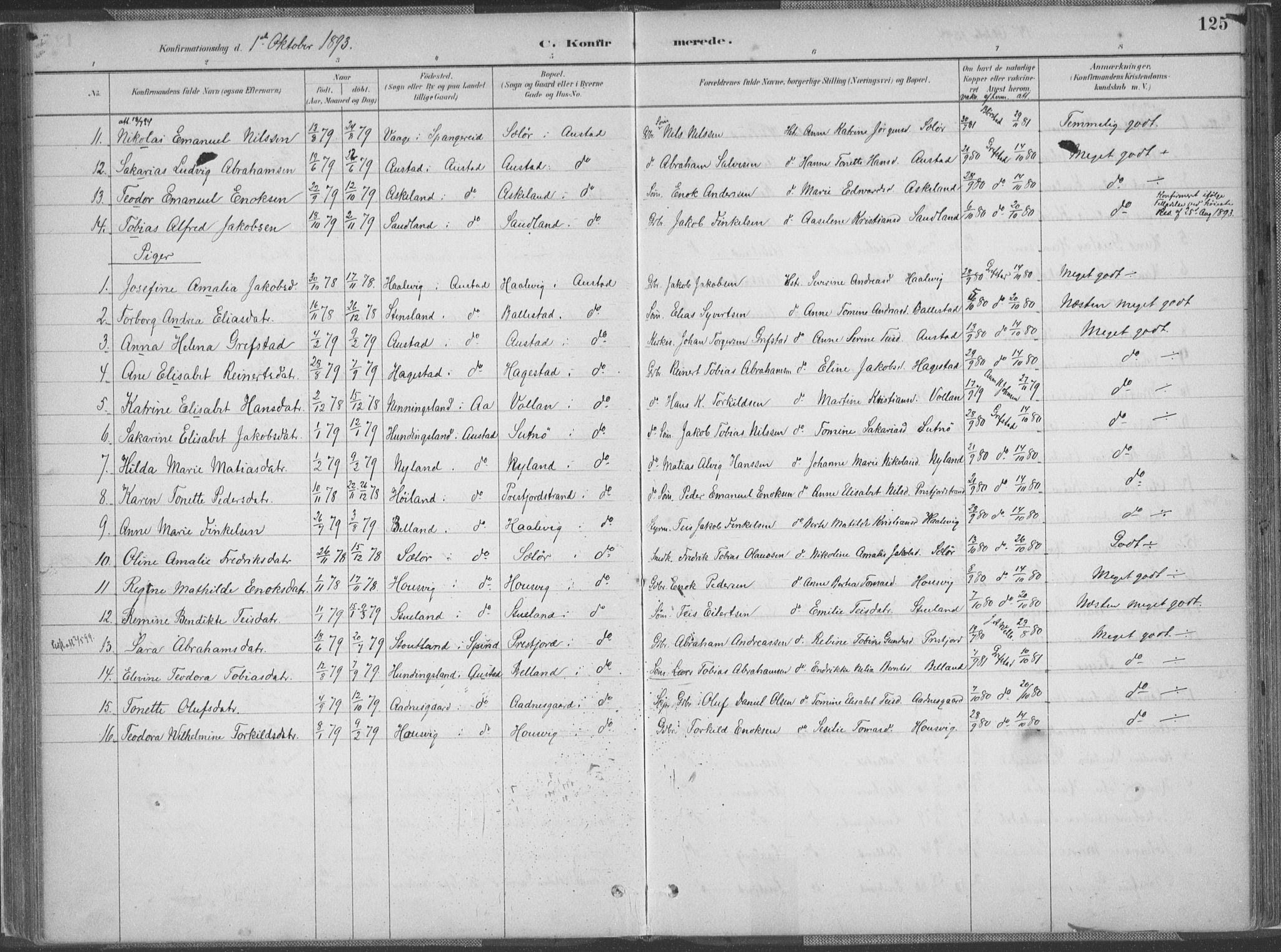 Lyngdal sokneprestkontor, AV/SAK-1111-0029/F/Fa/Faa/L0004: Parish register (official) no. A 4, 1883-1904, p. 125