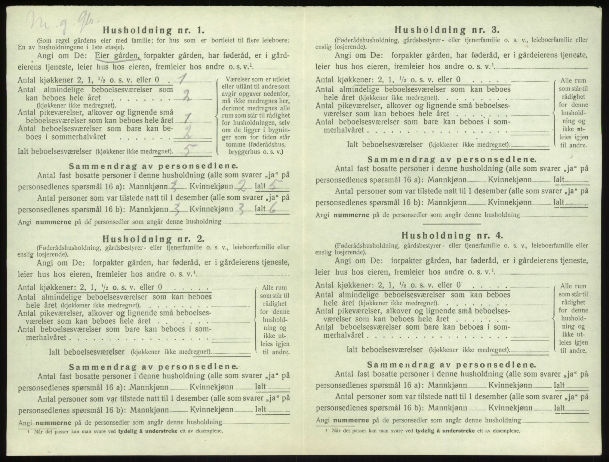 SAB, 1920 census for Vik, 1920, p. 1024