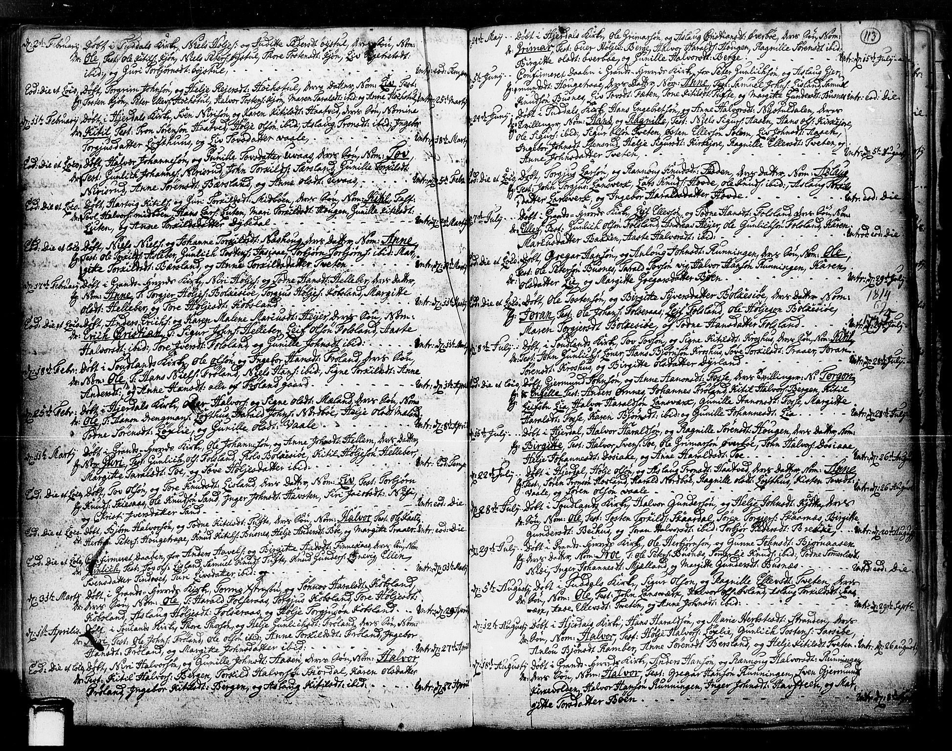 Hjartdal kirkebøker, SAKO/A-270/F/Fa/L0003: Parish register (official) no. I 3, 1727-1775, p. 113