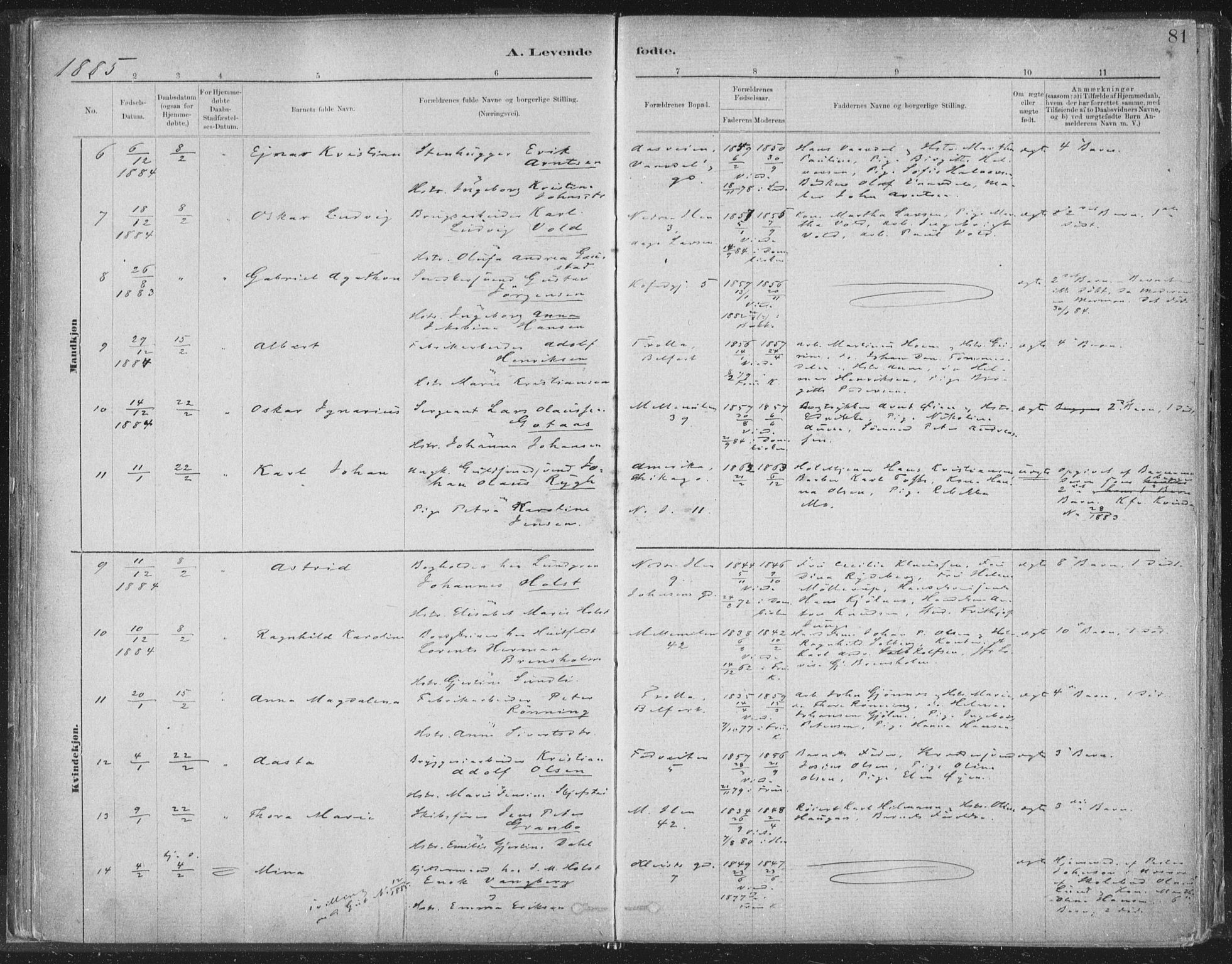 Ministerialprotokoller, klokkerbøker og fødselsregistre - Sør-Trøndelag, AV/SAT-A-1456/603/L0162: Parish register (official) no. 603A01, 1879-1895, p. 81