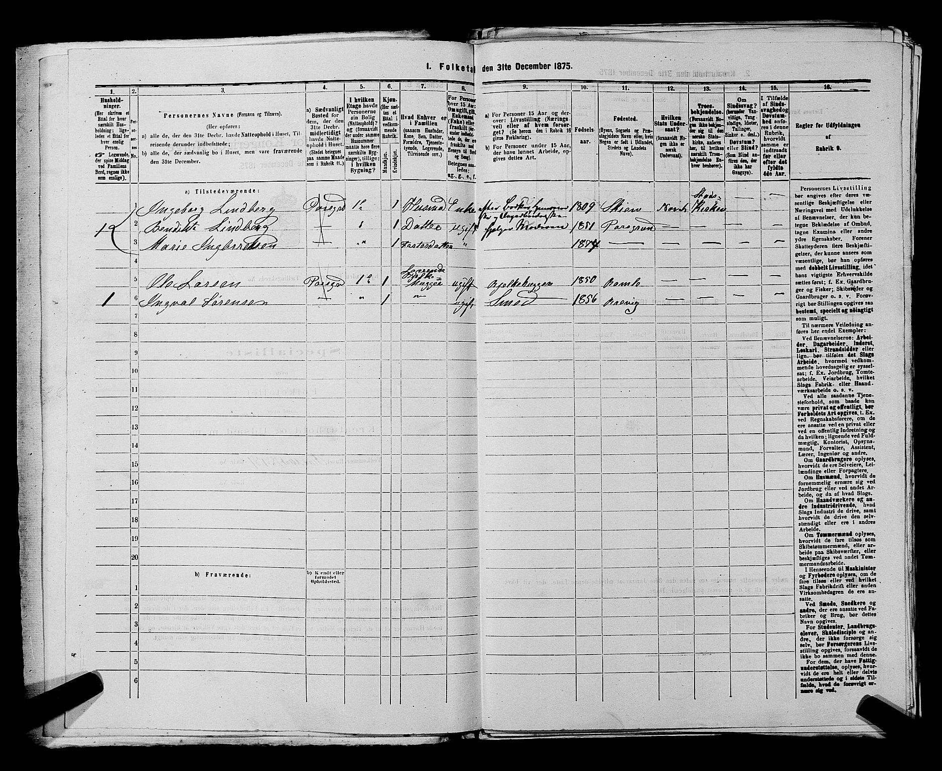 SAKO, 1875 census for 0805P Porsgrunn, 1875, p. 456