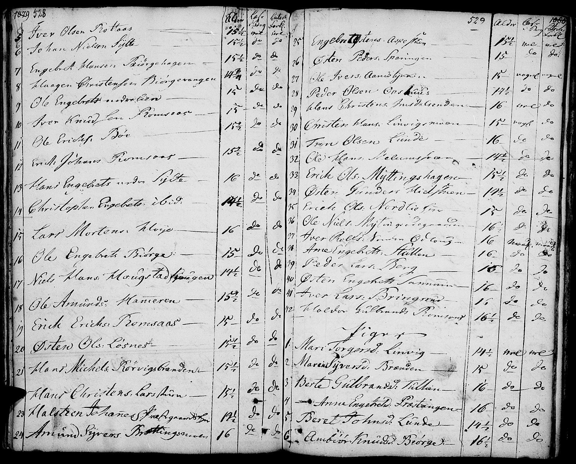 Ringebu prestekontor, AV/SAH-PREST-082/H/Ha/Haa/L0003: Parish register (official) no. 3, 1781-1820, p. 528-529