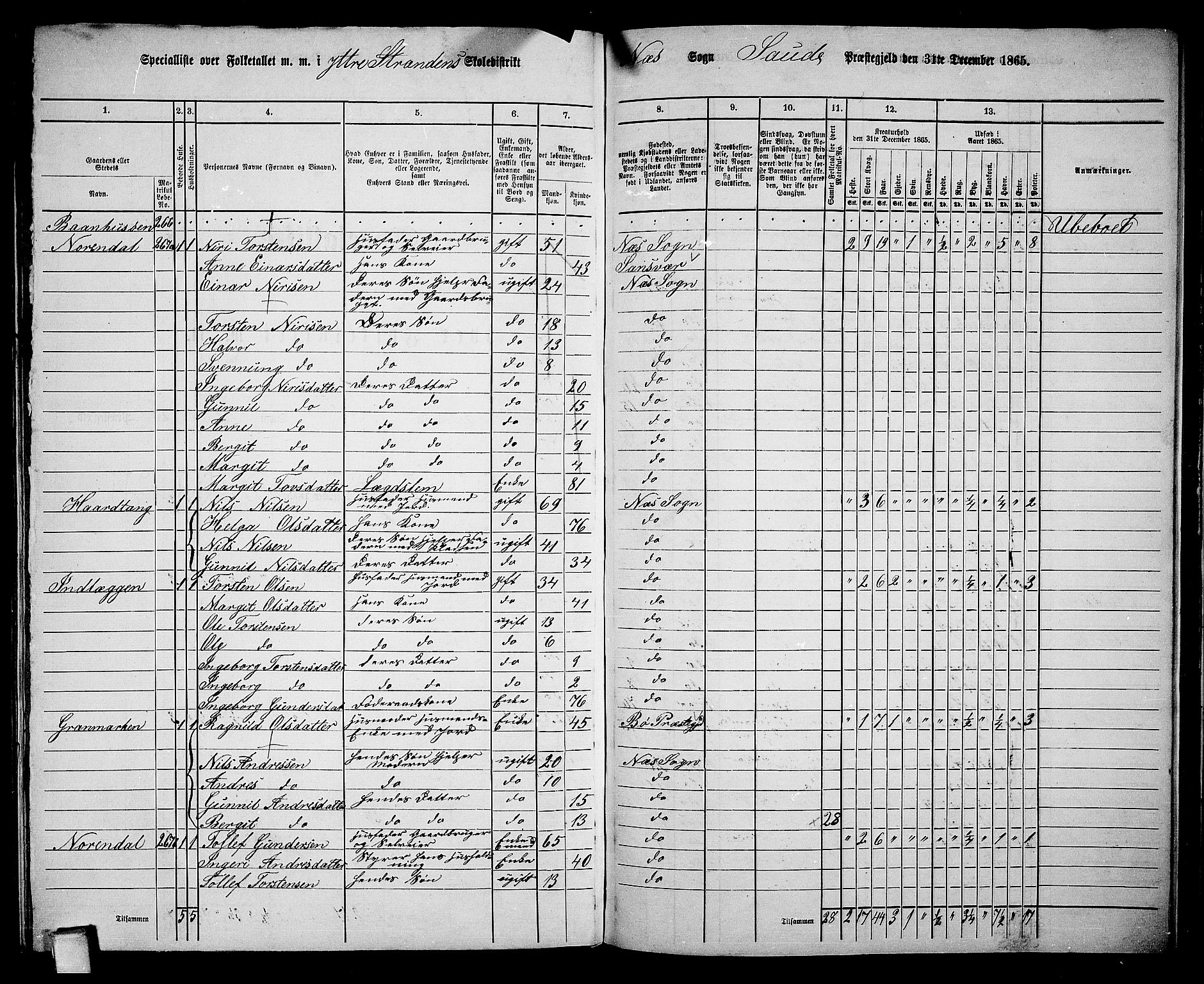 RA, 1865 census for Sauherad, 1865, p. 161