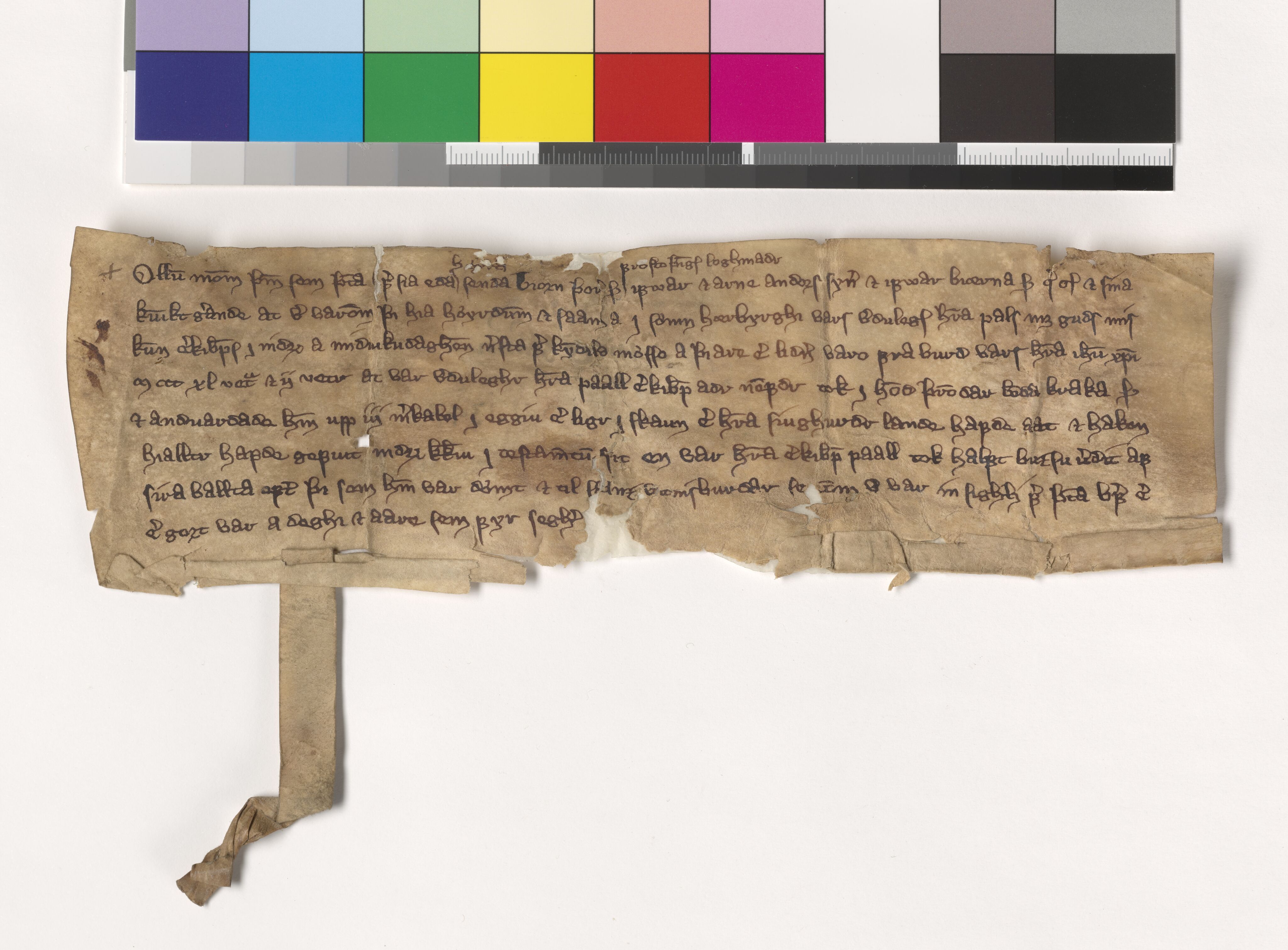 Riksarkivets diplomsamling, AV/RA-EA-5965/F05/L0071: NRA AM fasc. 23 nr. 2-11, 1334-1345, p. 14