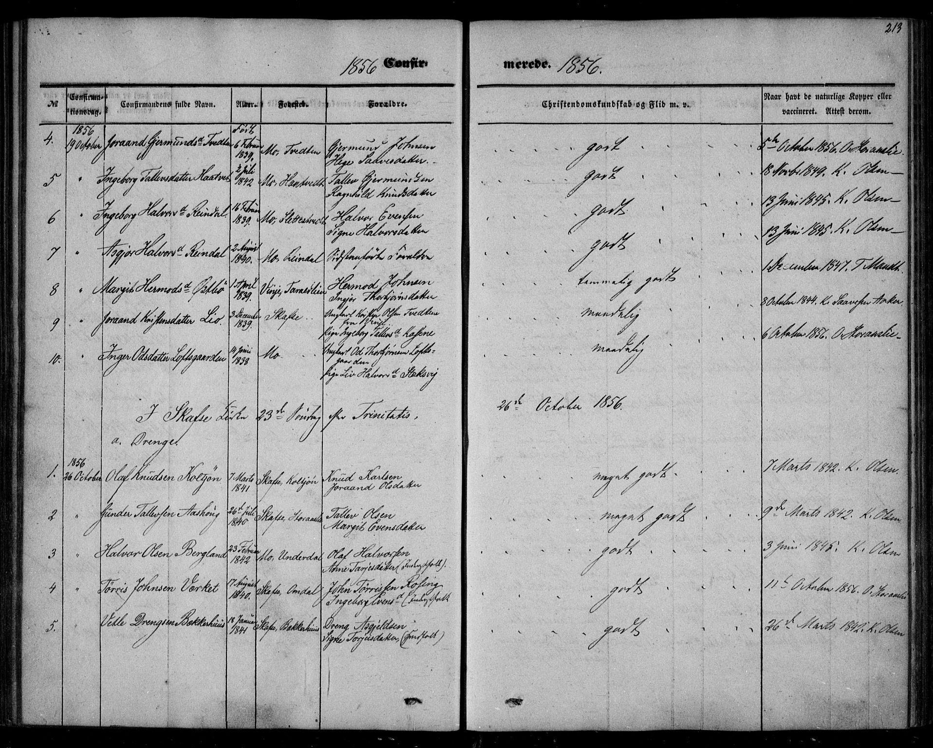 Mo kirkebøker, AV/SAKO-A-286/F/Fa/L0005: Parish register (official) no. I 5, 1844-1864, p. 213